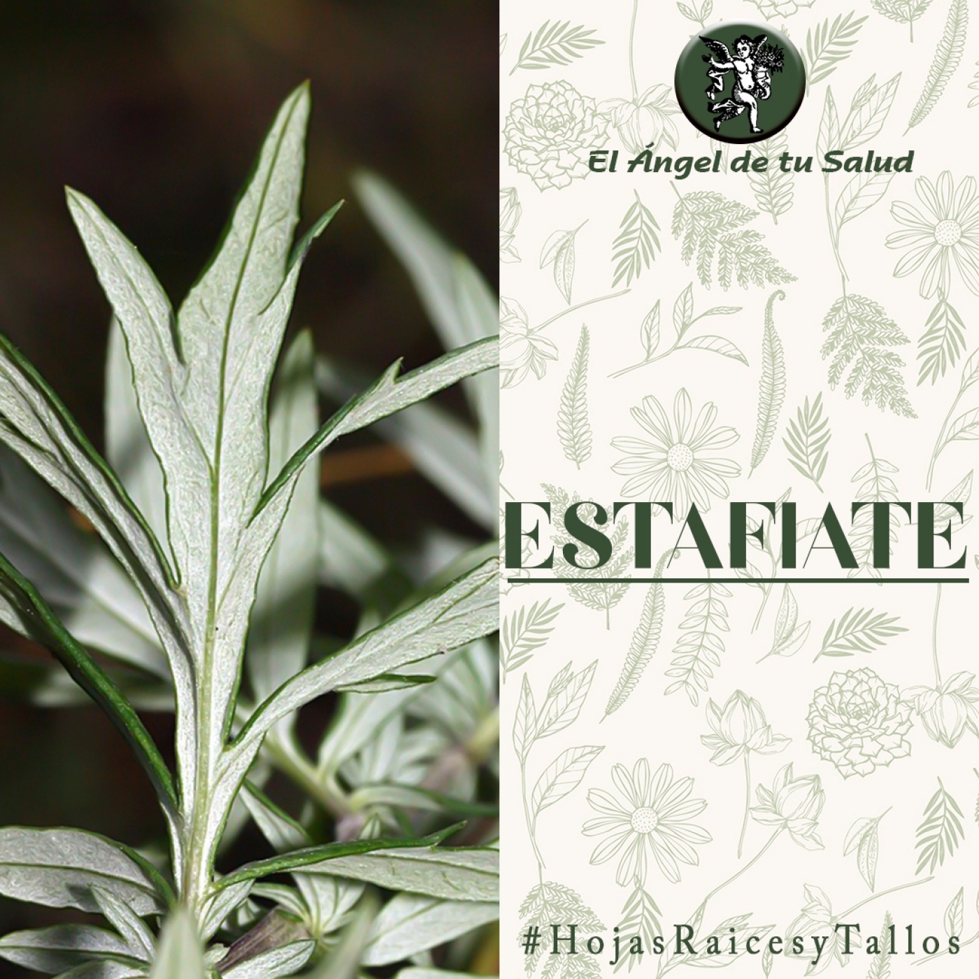 El Ángel de tu Salud - Estafiate** episode artwork