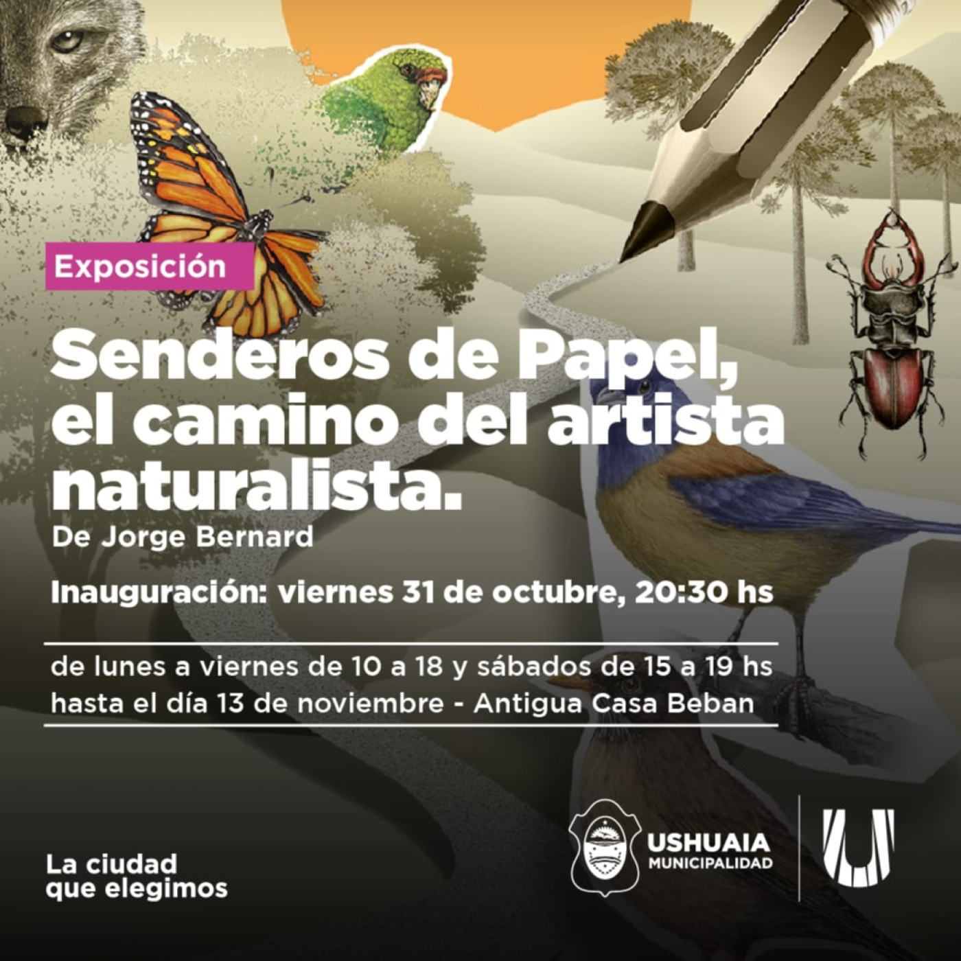 Nota TERRA NATURAL 93uno Jorge Bernard- Artista Visual- Exposición “SENDEROS DE PAPEL ... 29-10-2025 episode artwork