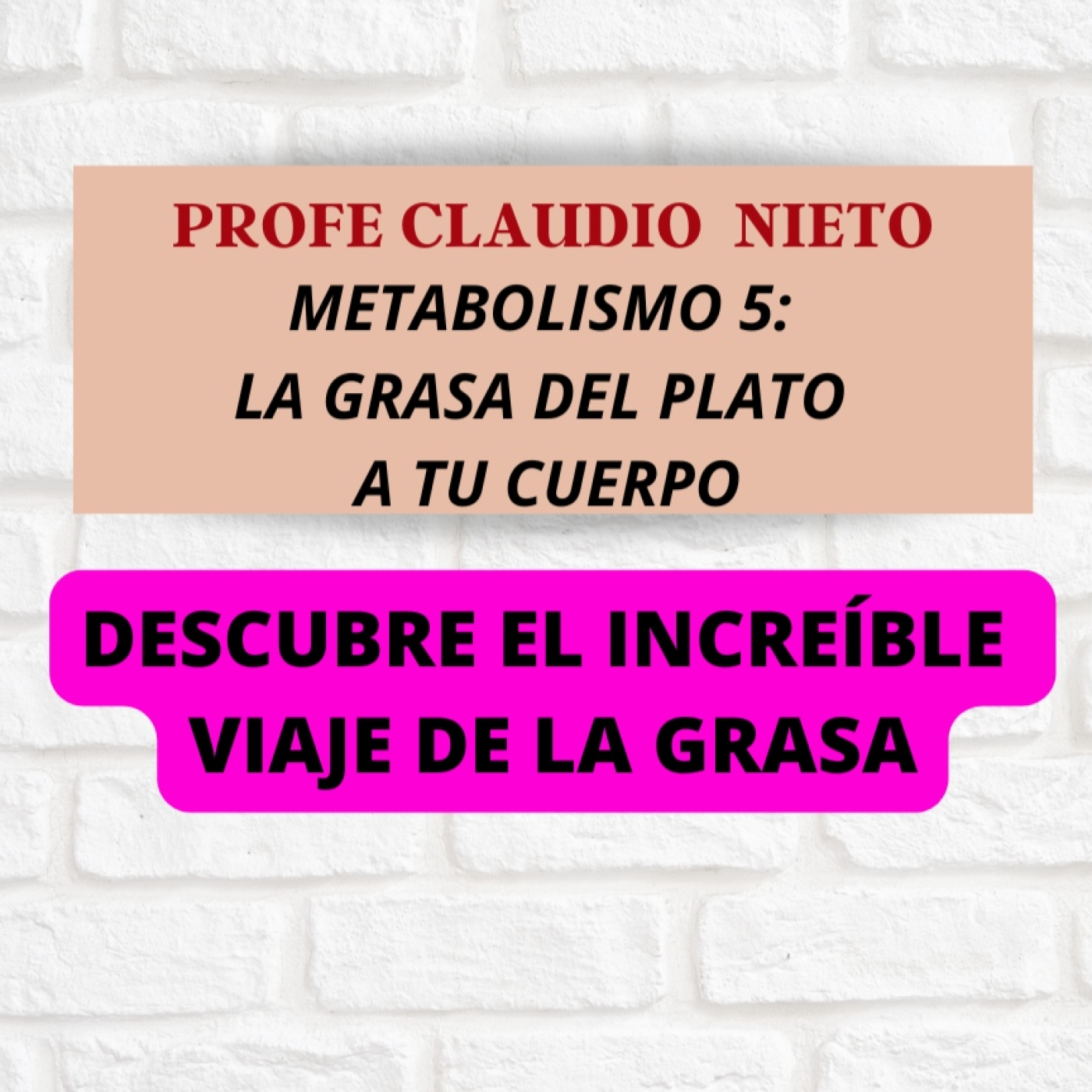 PROFE CLAUDIO NIETO