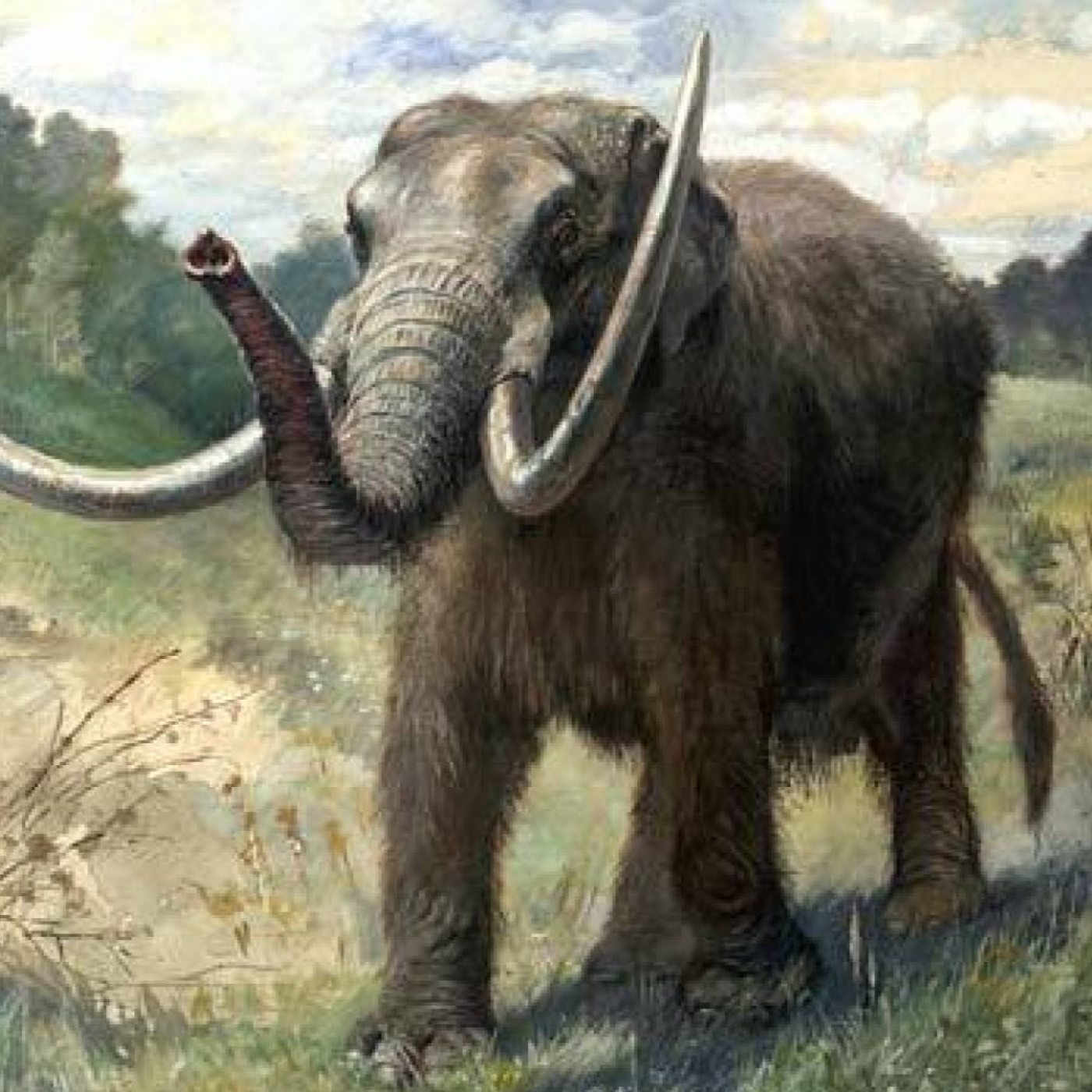 Solúcar Ciencia con el Profesor Adriano Zarzuelas "CERUTTI MASTODON" episode artwork