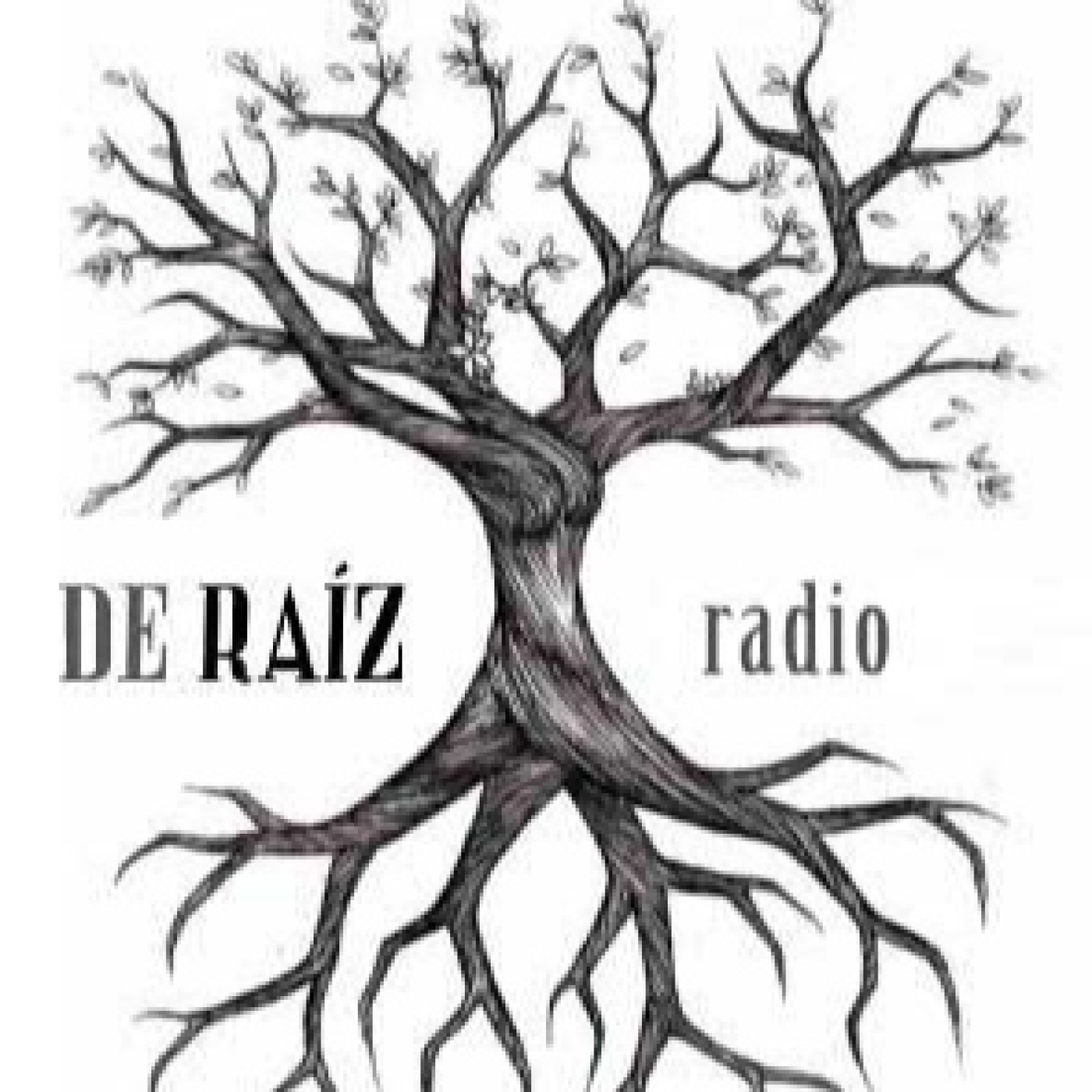 De Raíz Radio