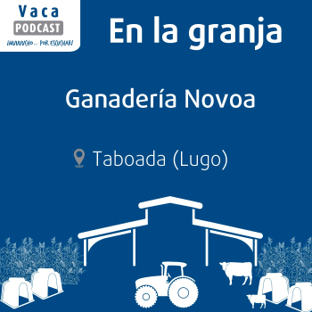 En la granja: Ganadería Novoa