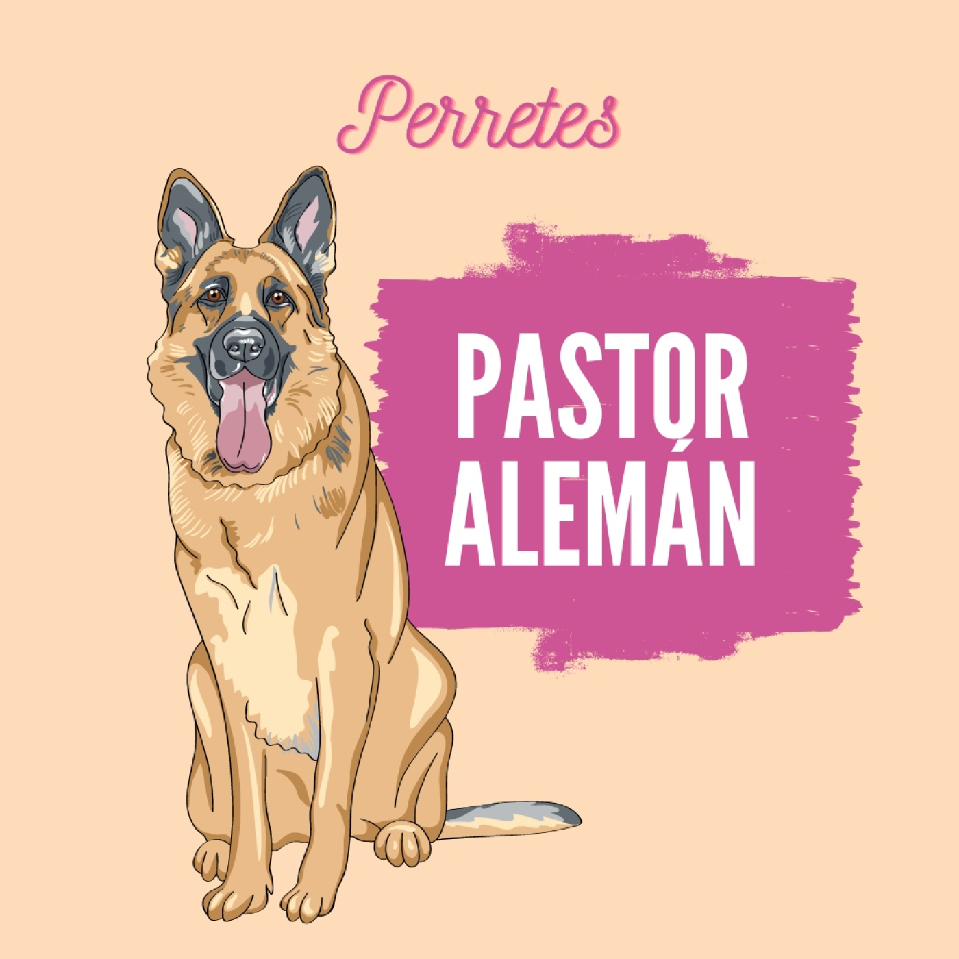 Perretes | Las razas de perros