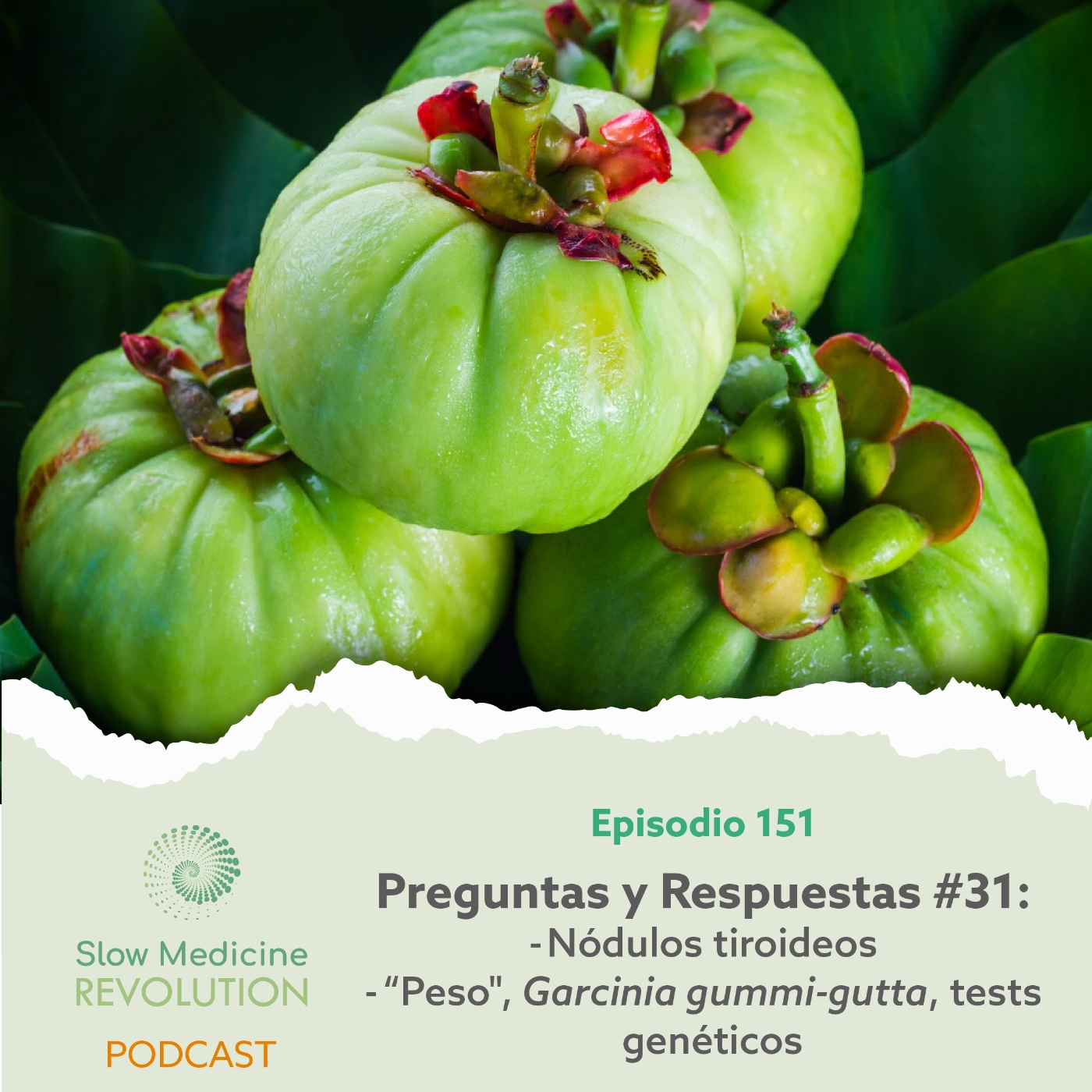 151 - P&R 31: Nódulos tiroideos / "Peso", Garcinia gummi-gutta, tests genéticos - Episodio exclusivo para mecenas