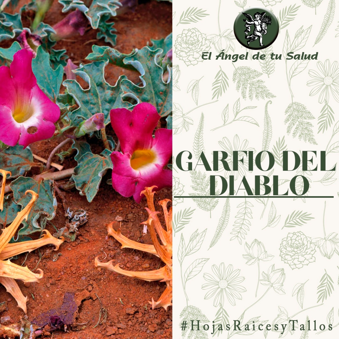 El Ángel de tu Salud - Garfio del Diablo** episode artwork