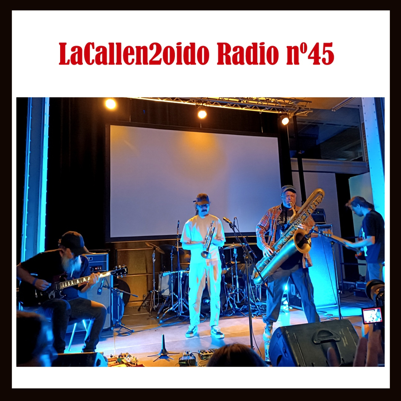 LaCallen2oído Radio