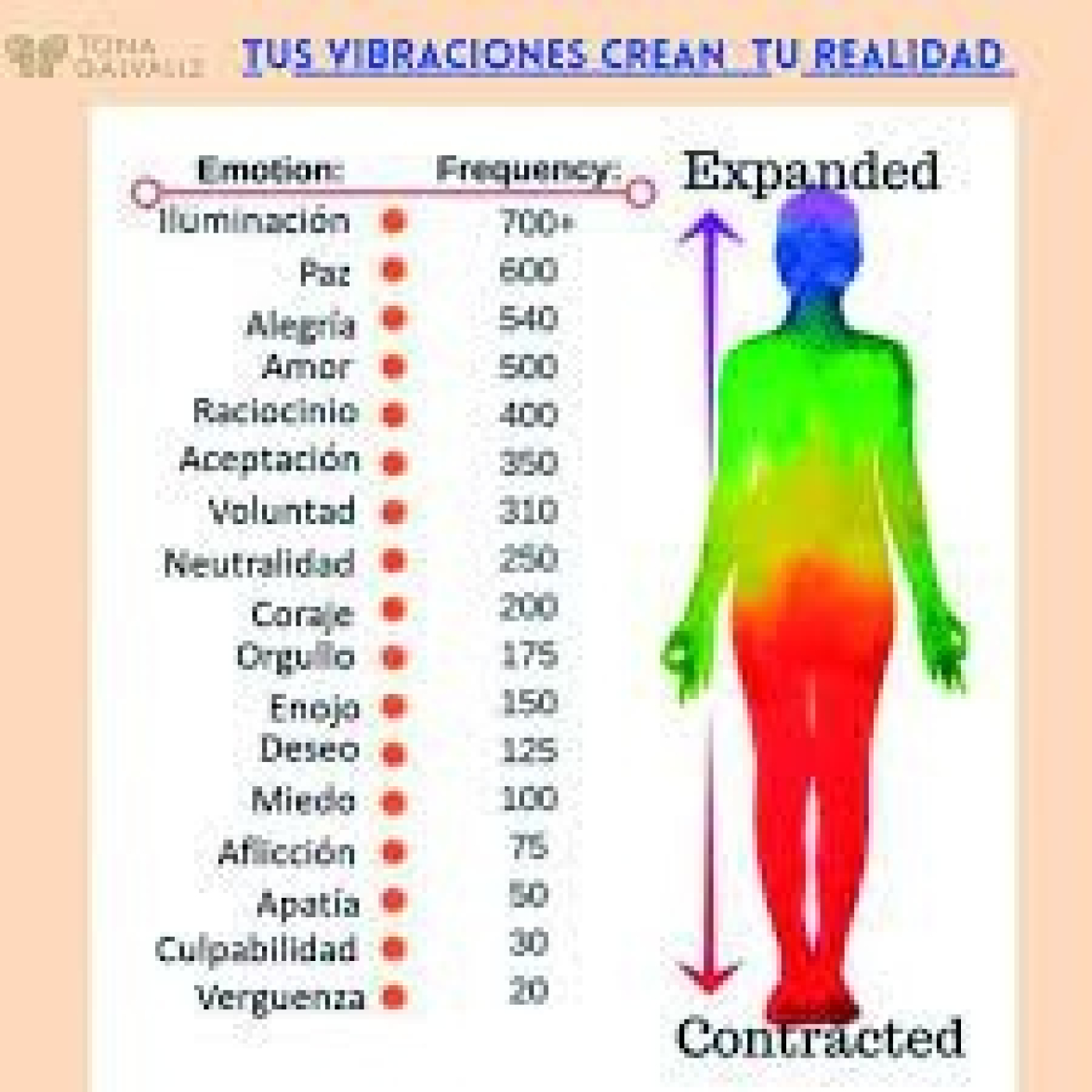 FRECUENCIAS VIBRATORIAS DEL SER HUMANO 001 1/3 episode artwork