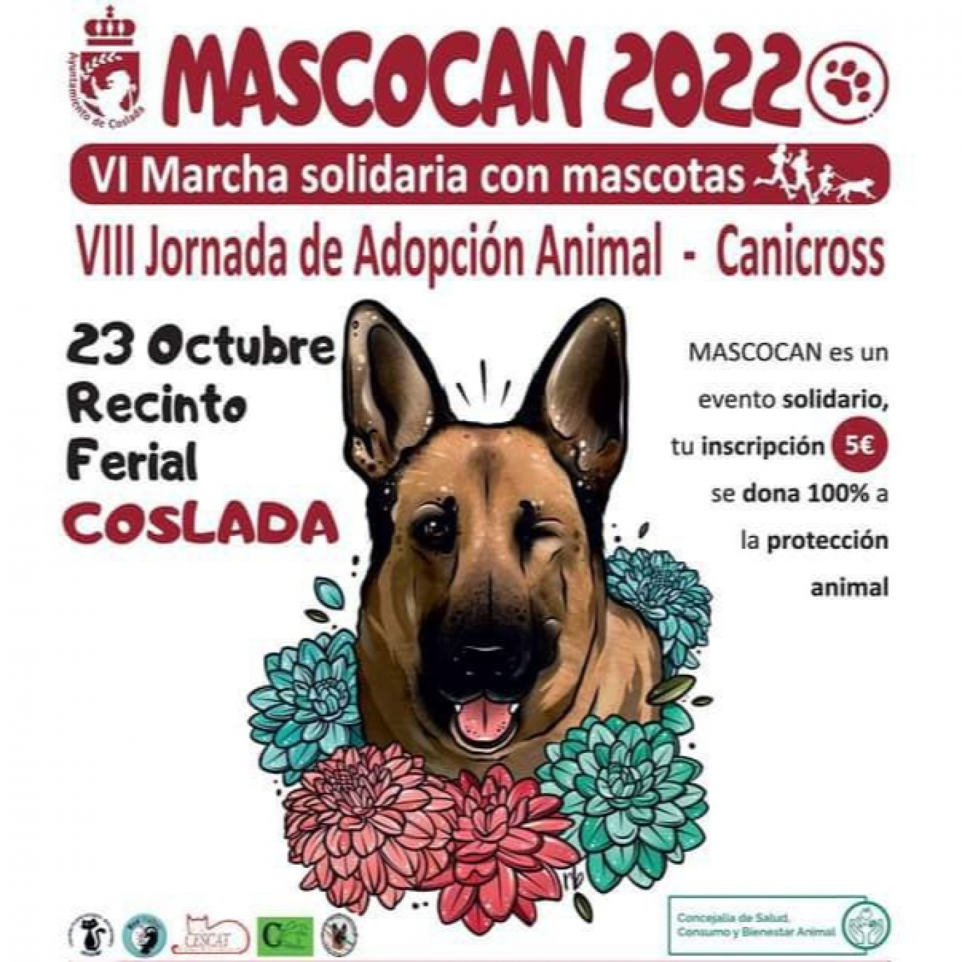 ACCIÓN SOCIAL