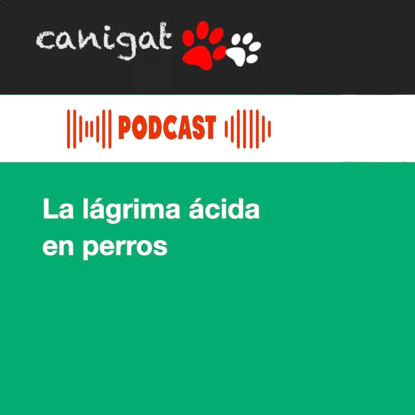 Consejos veterinarios de perros y gatos by canigat