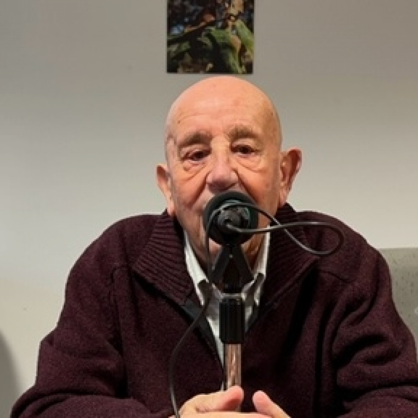 Vivencias de vitigudino