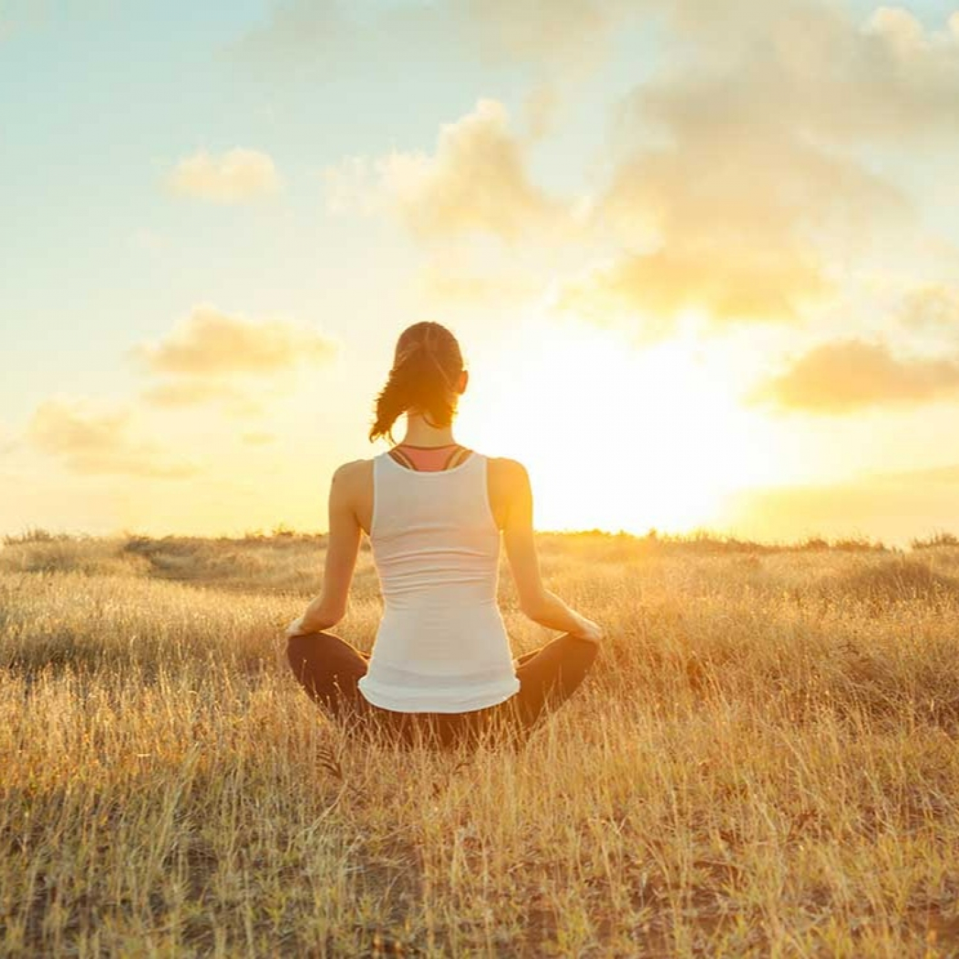 Meditaaccion