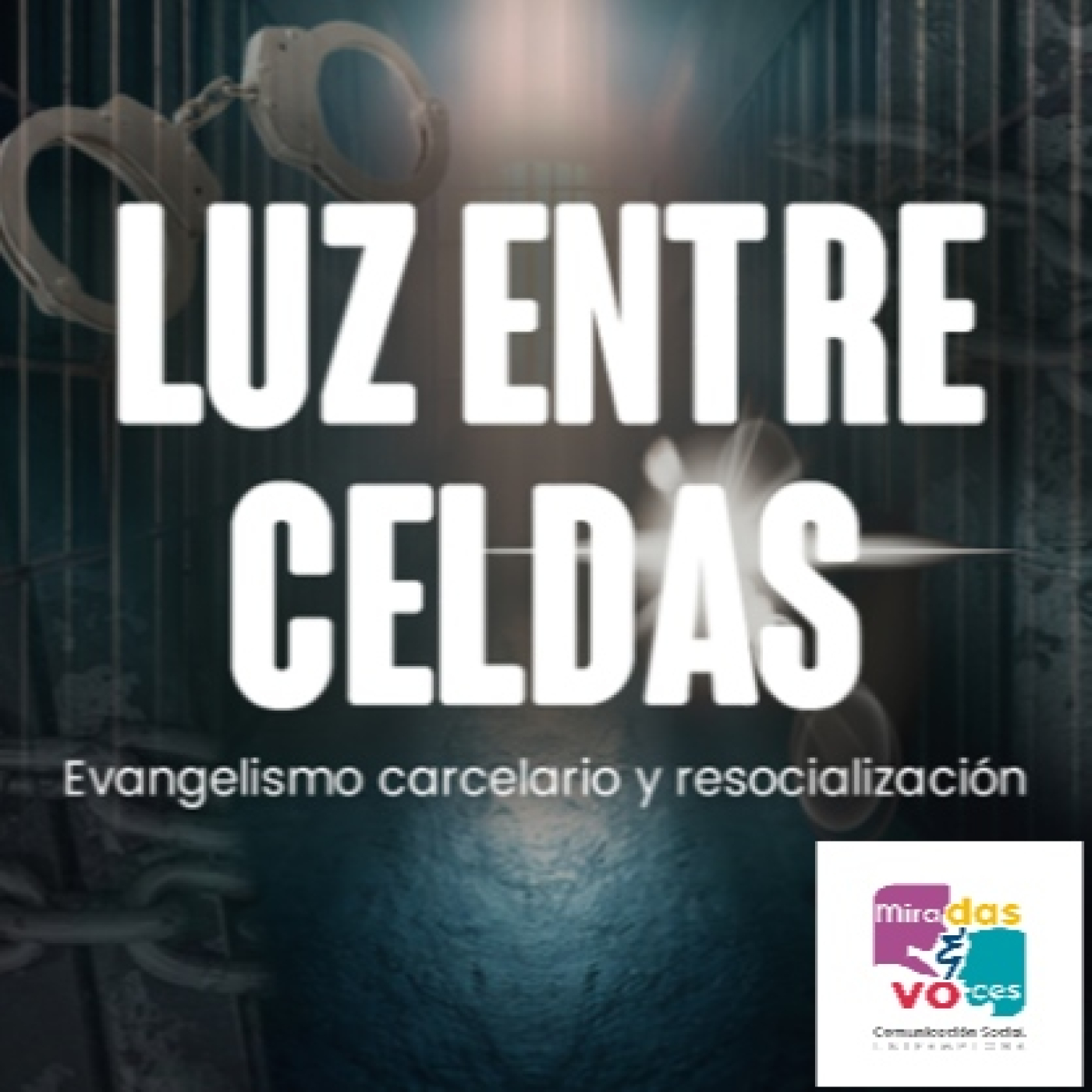 Miradas y Voces