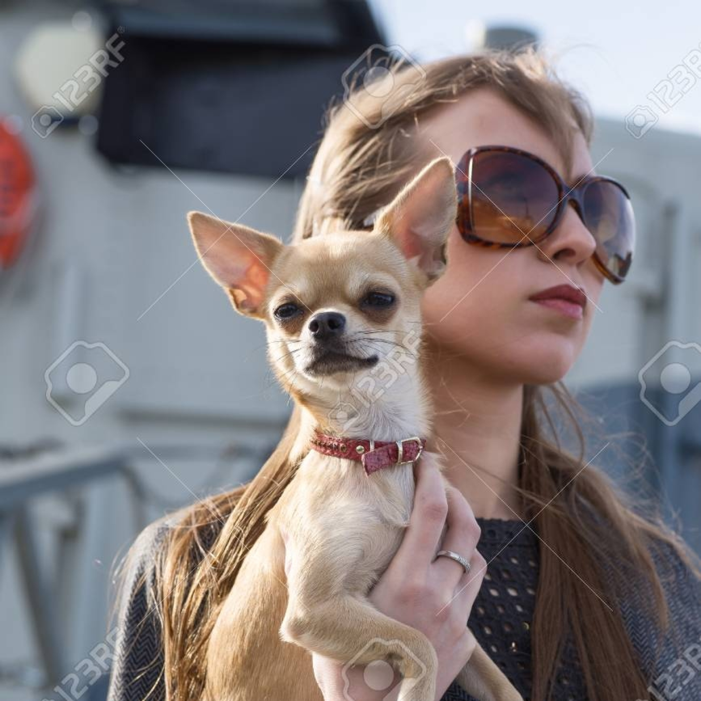 Relatos Sexuales Liberales