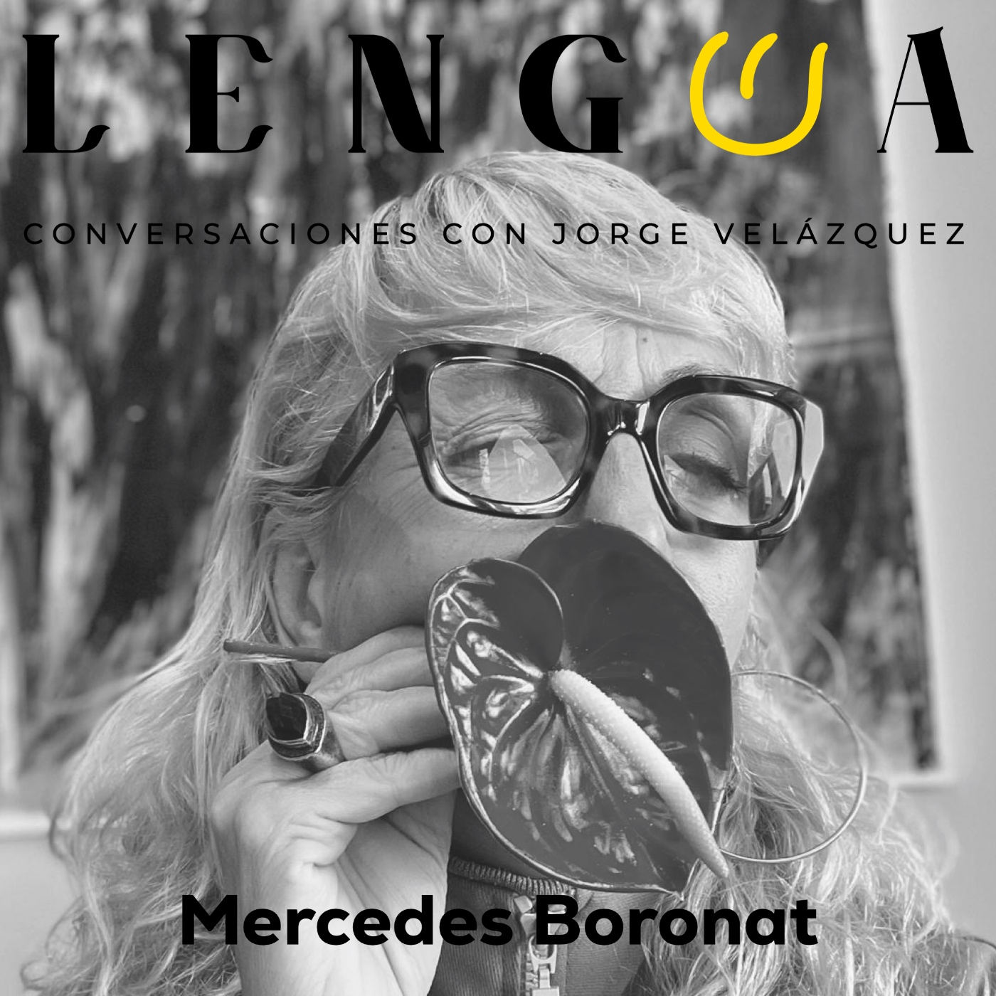 Lengua, conversaciones con Jorge Velázquez