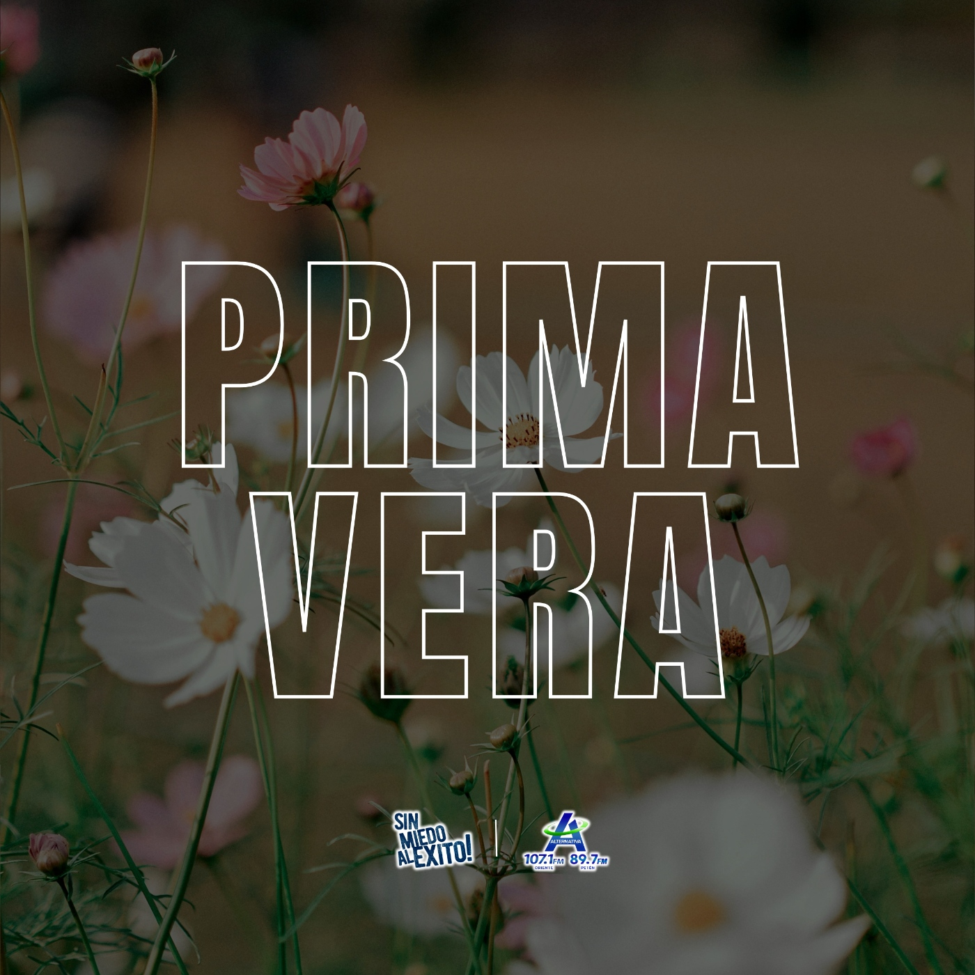 Primavera episode artwork