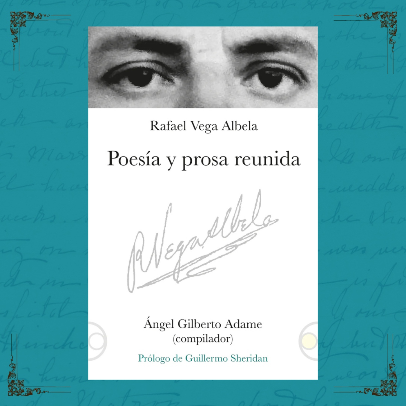 Apiedepágina IMER