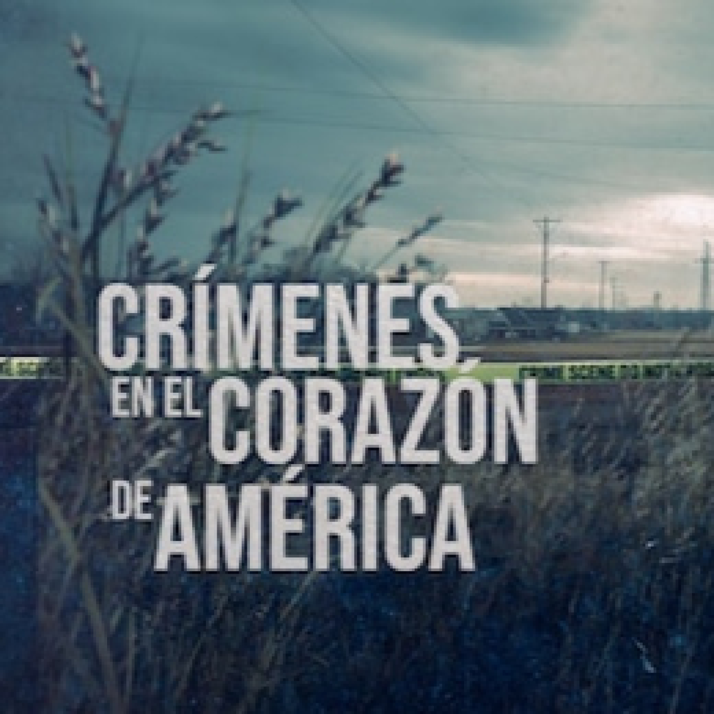 Crímenes en el corazón de América T1: El miedo se contagia · La amable hermana
