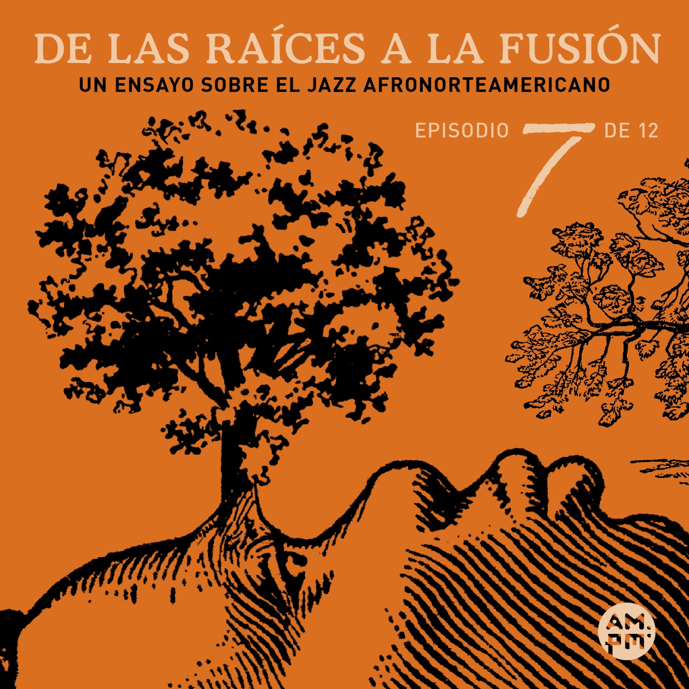 De las raíces a la fusión