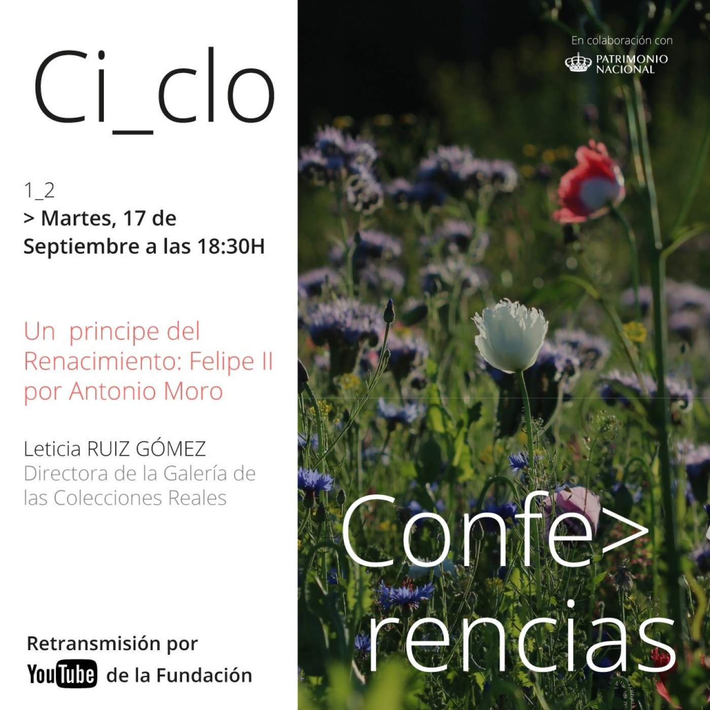 Conferencias