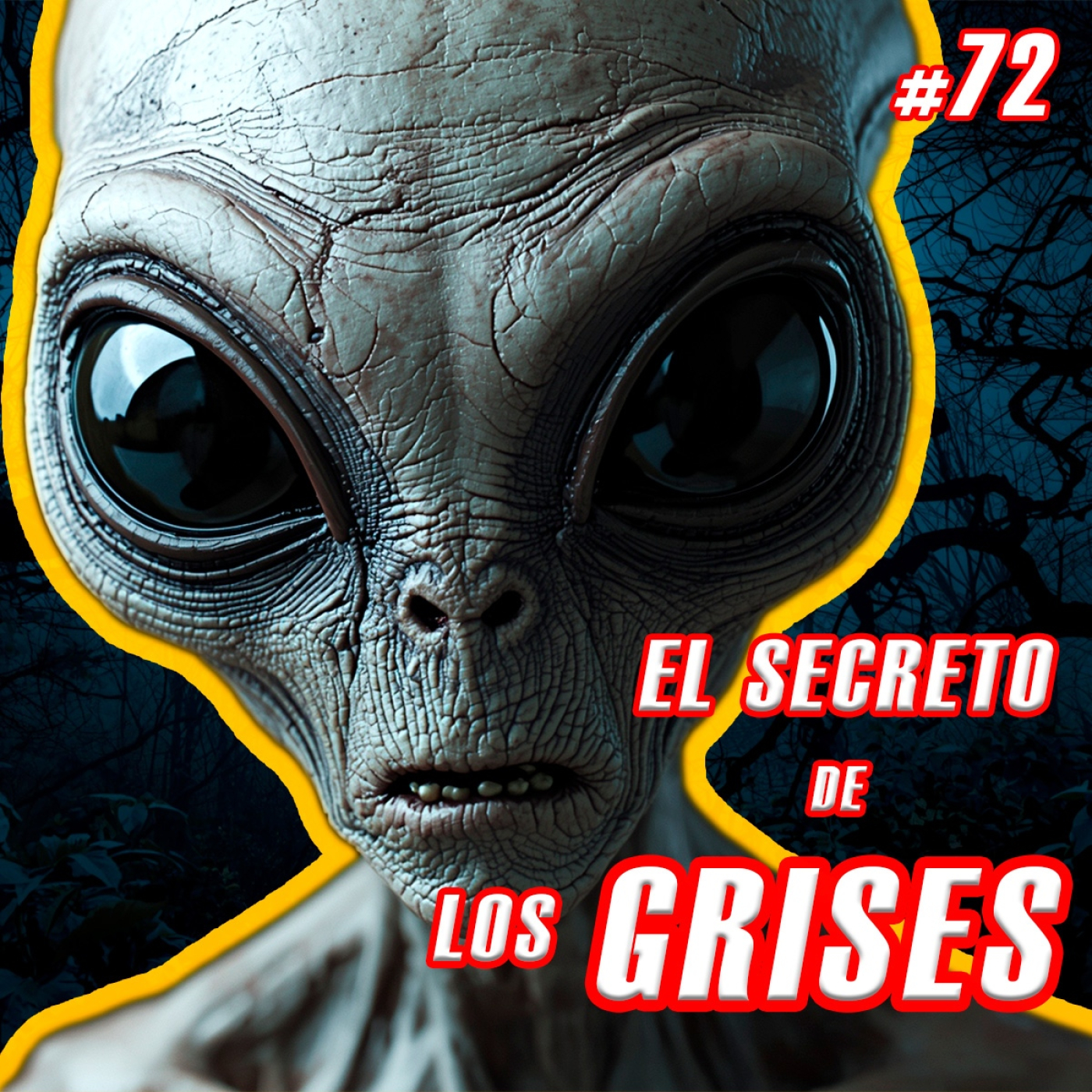 La SOMBRÍA VERDAD detrás de los EXTRATERRESTRES GRISES episode artwork