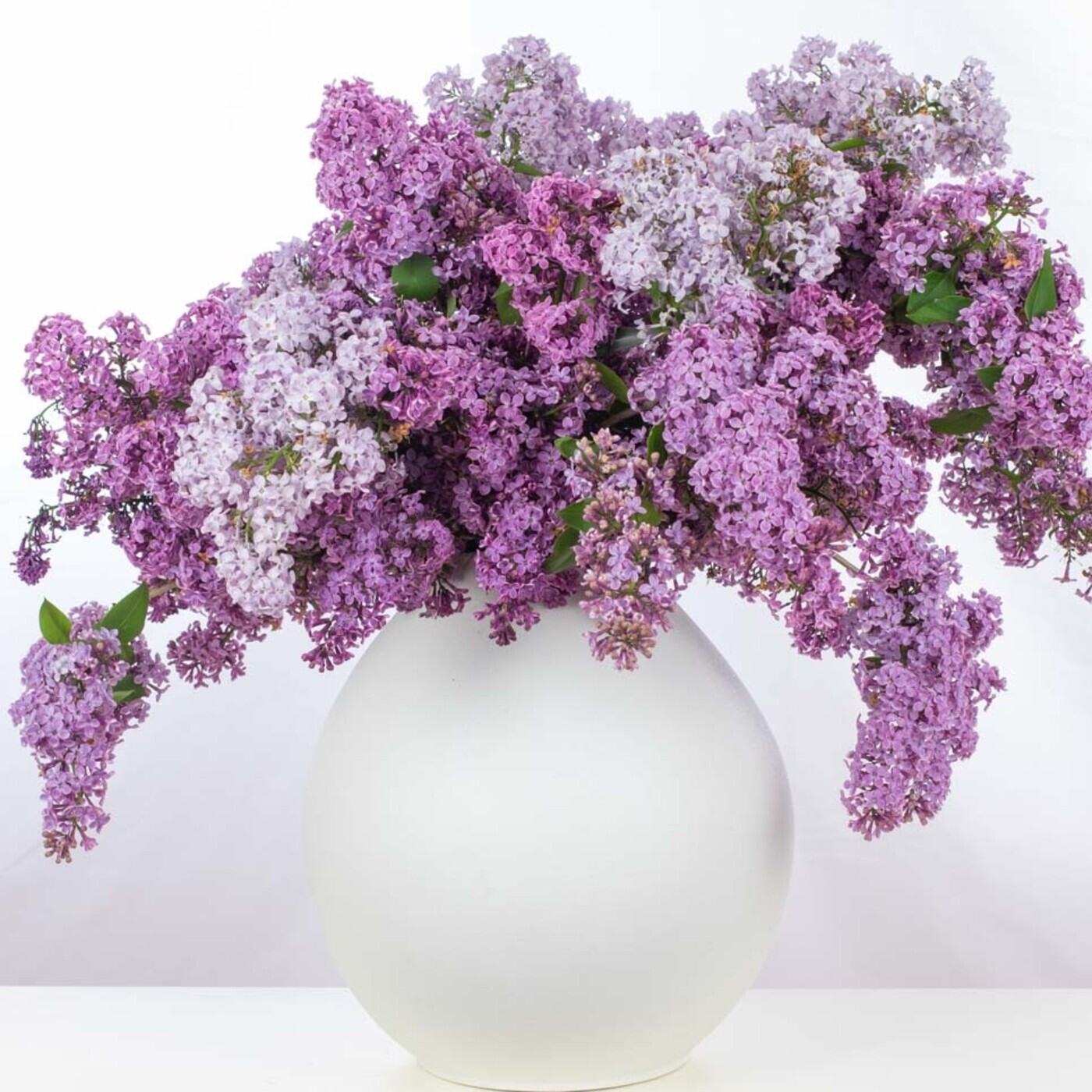 El podcast de las flores. 18 pétalos