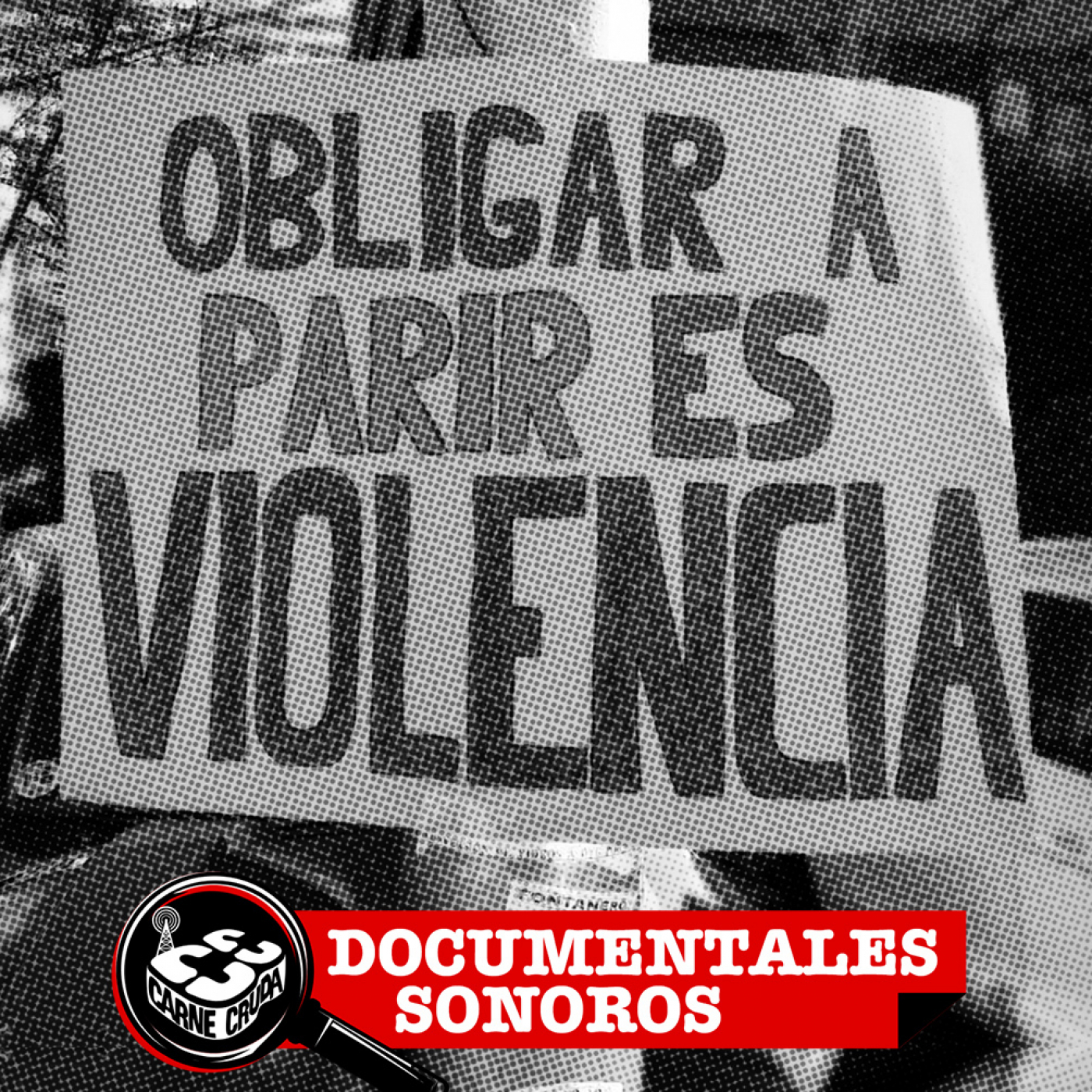 Aborto: por qué cuesta tanto (DOCUMENTALES - CARNE CRUDA #1011)