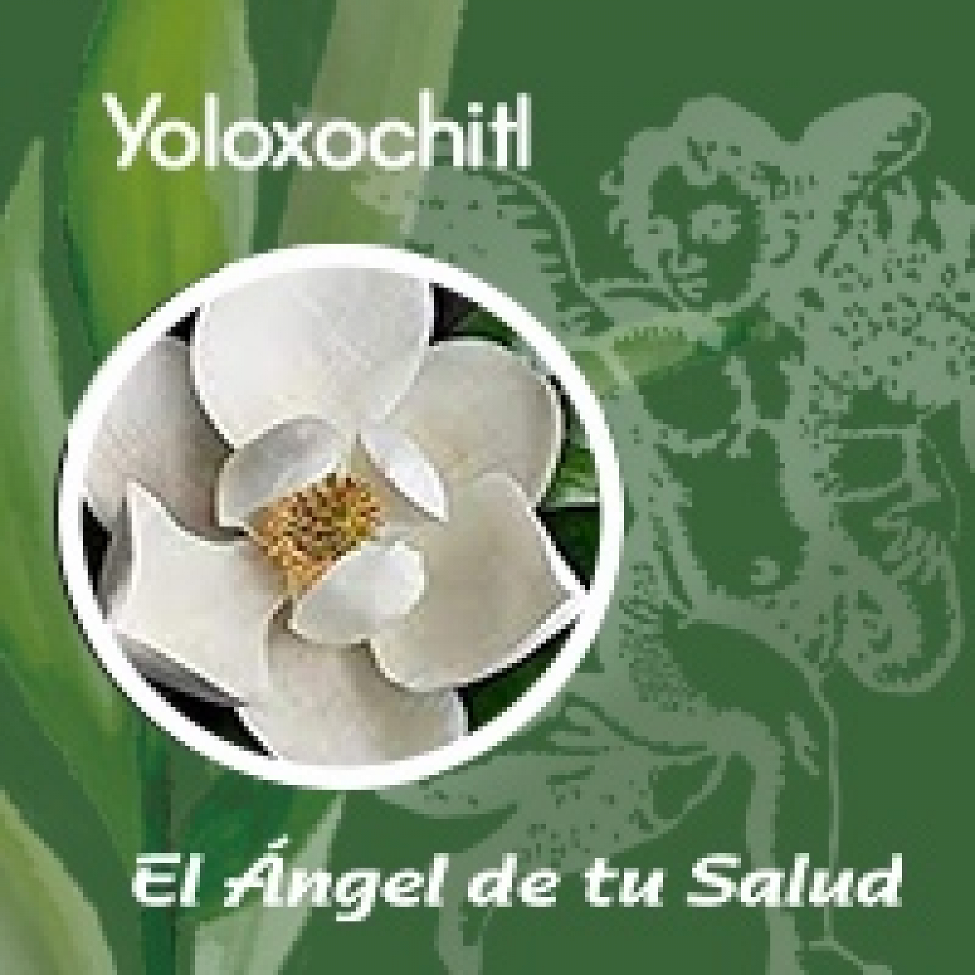El Ángel de tu Salud - Yoloxochitl** episode artwork
