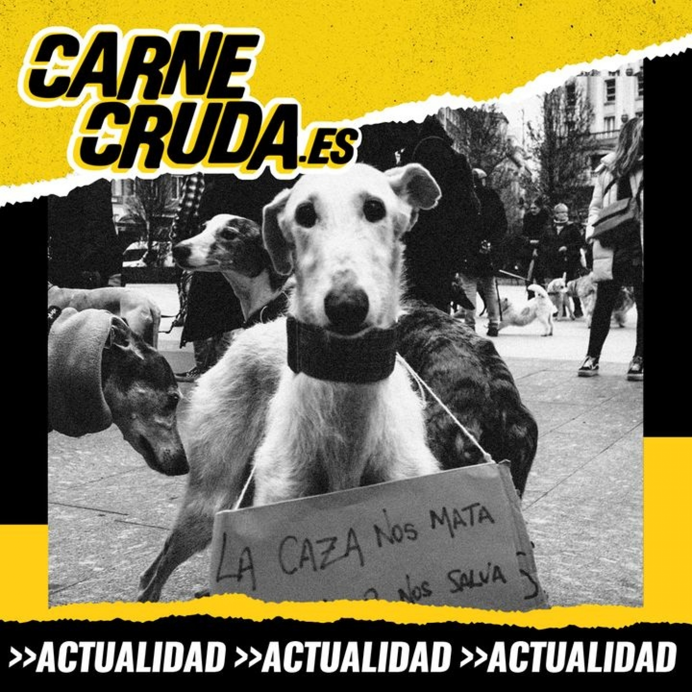 Ley de Bienestar animal: qué mejora y qué falta (CARNE CRUDA #1167)