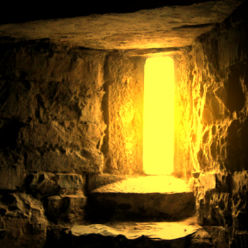 embed image