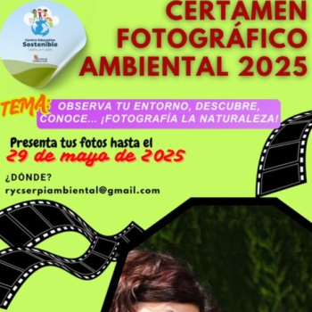 embed image