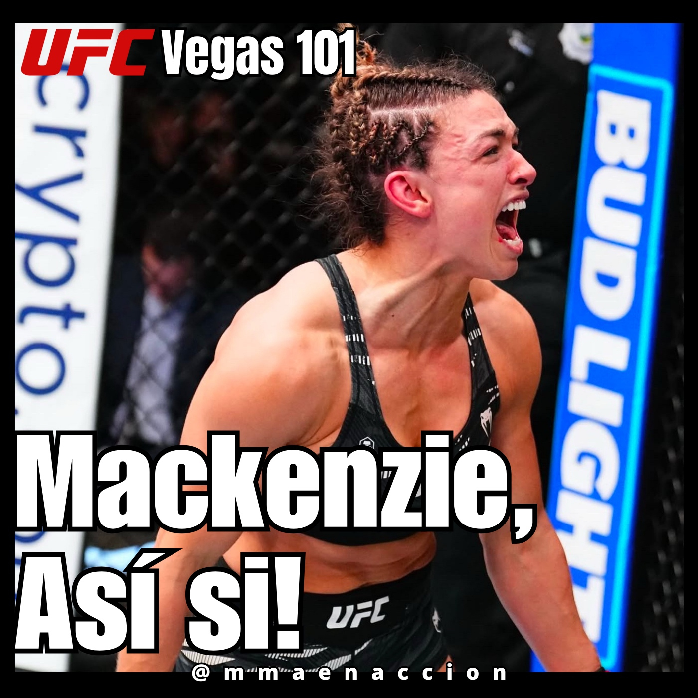 MMA en acción