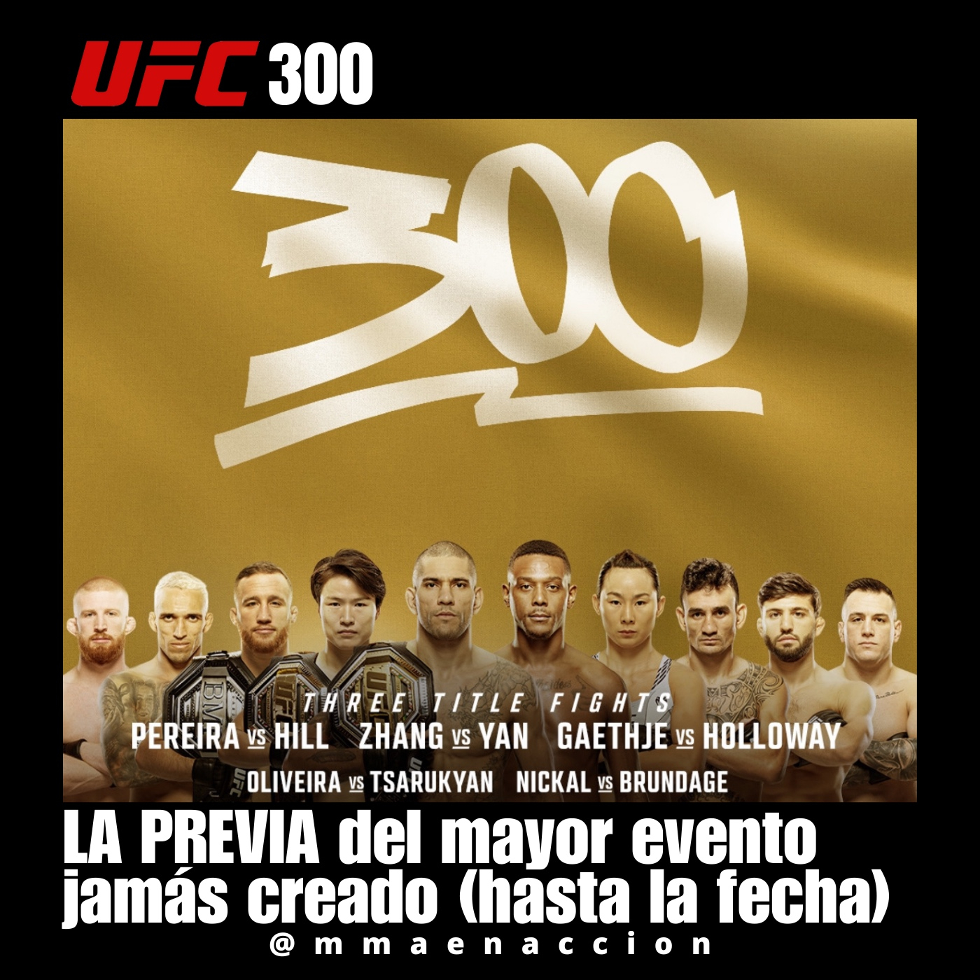 MMA en acción