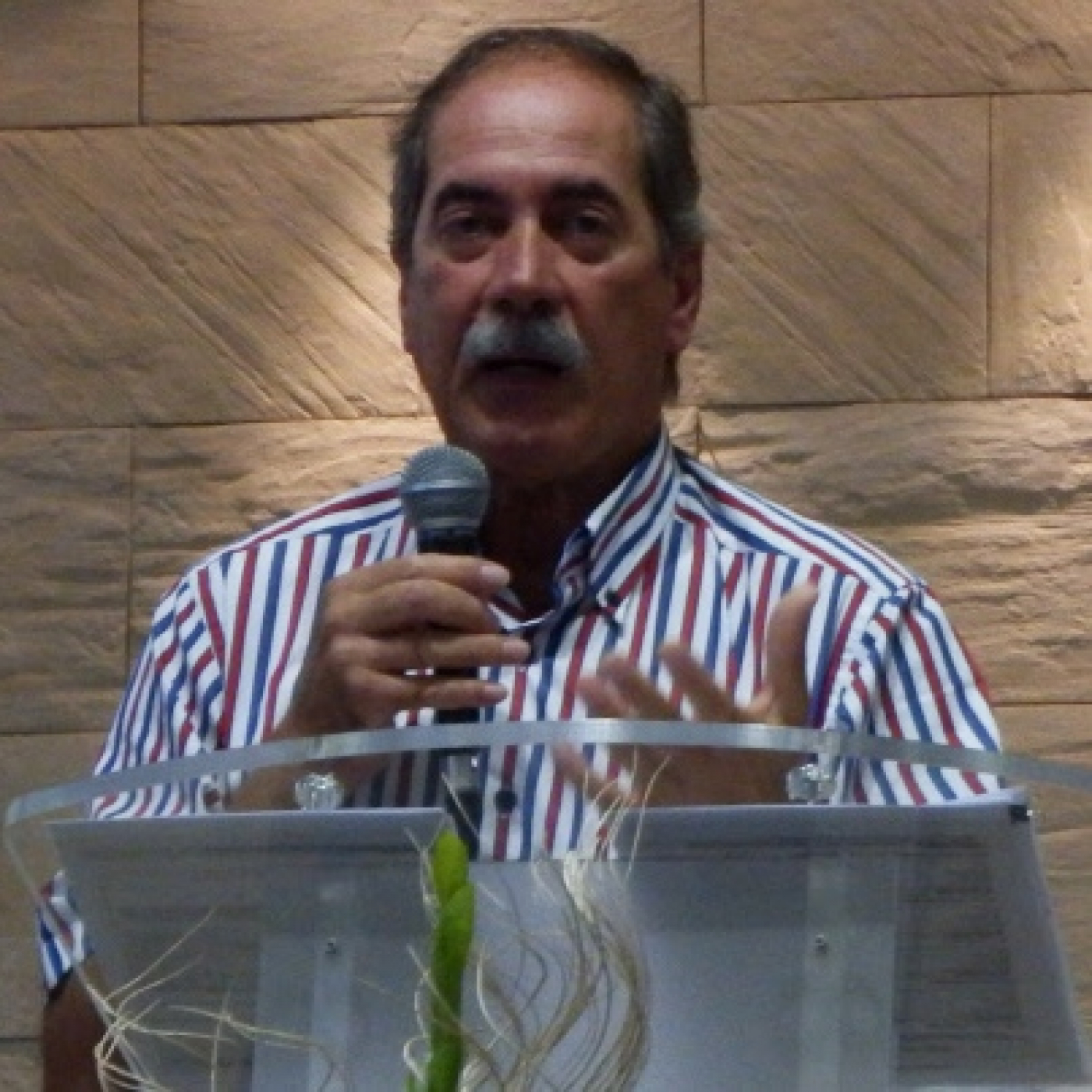 Predicaciones