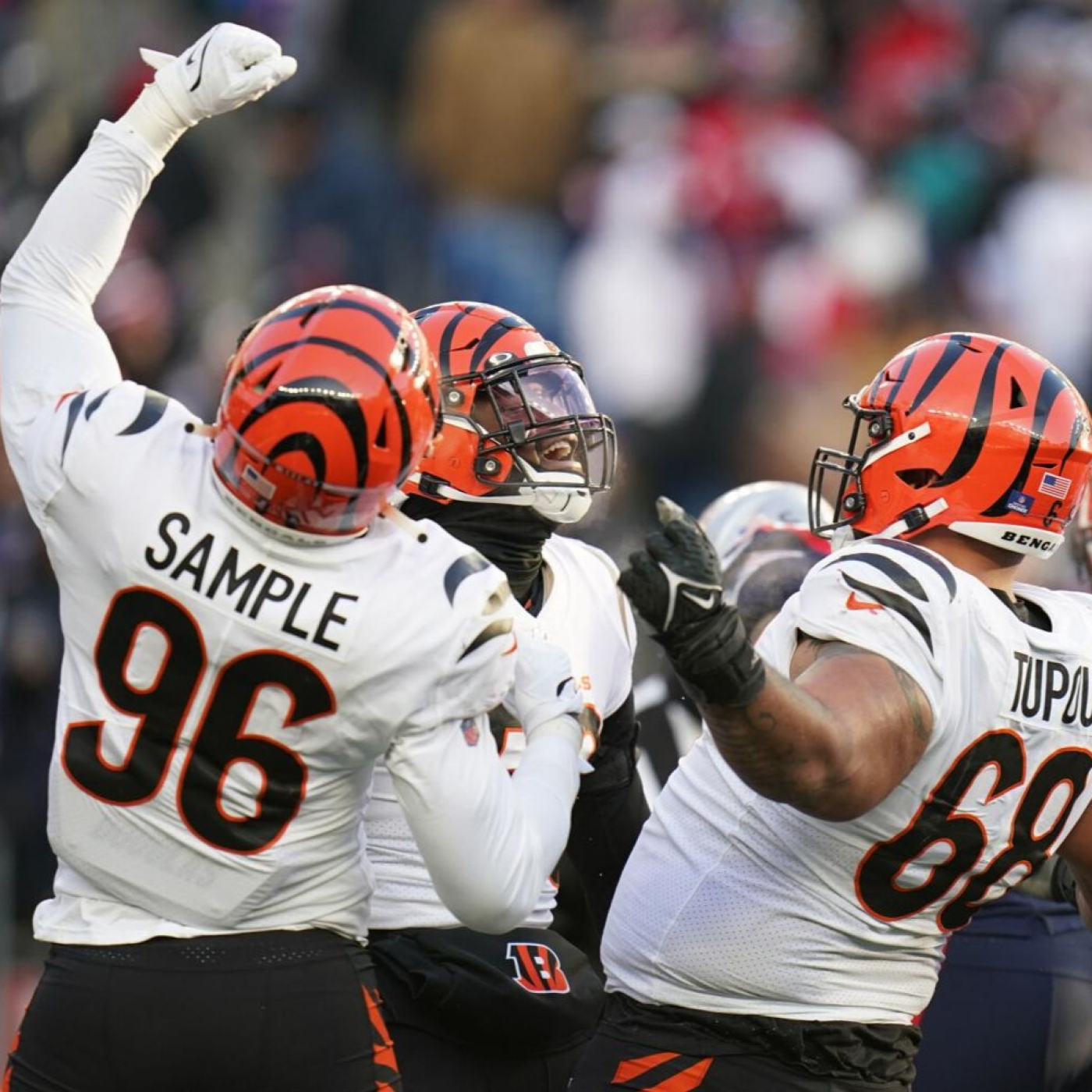 La Jungla Hispana - Bengals.es
