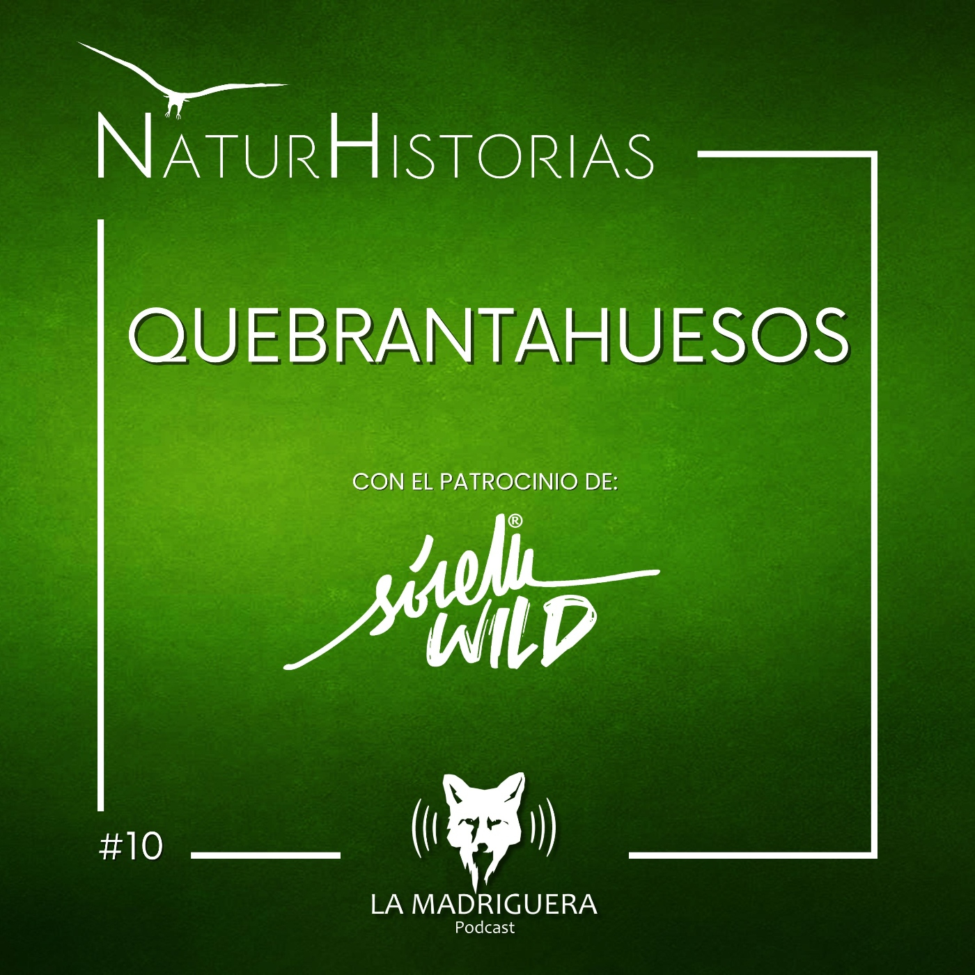 #10 -Quebrantahuesos – Naturhistorias (04/2026)