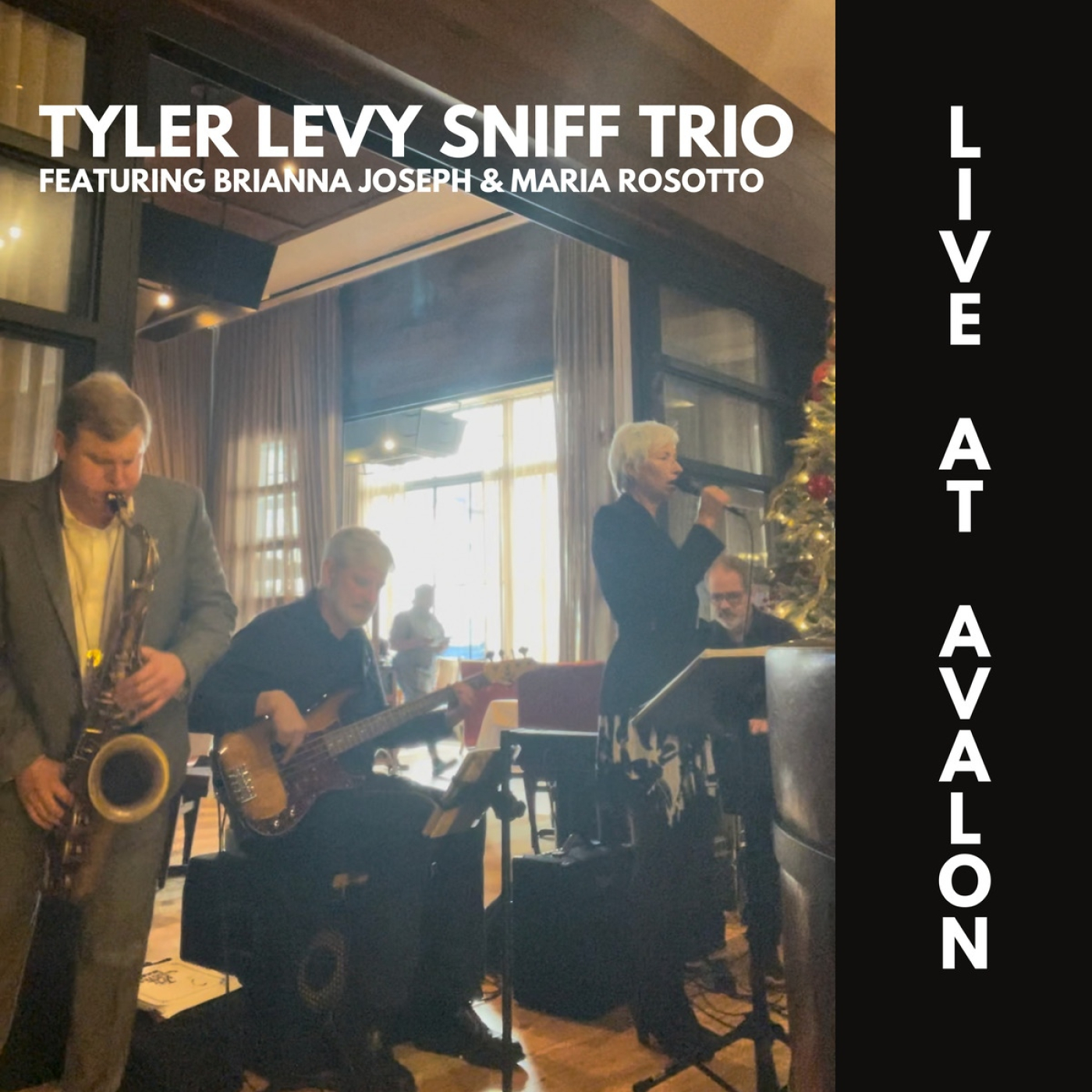 TYLER LEVY SNIFF TRIO - Sunny (live) // Night And Day (live). episode artwork