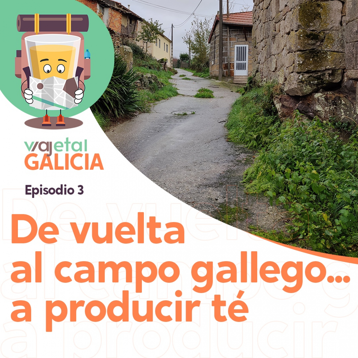 Viajetal - Gastronomía y viajes 100% vegetales