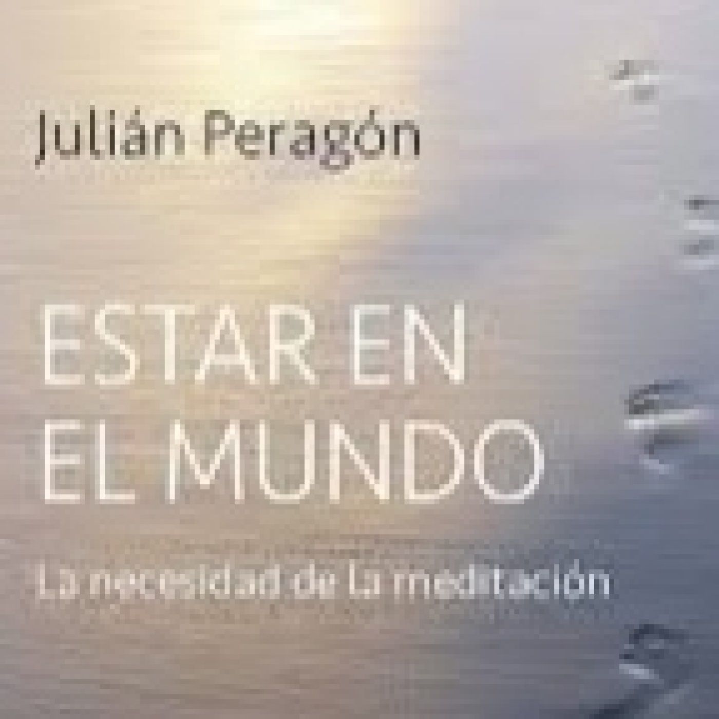El arte de "estar en el mundo" - Episodio exclusivo para mecenas episode artwork