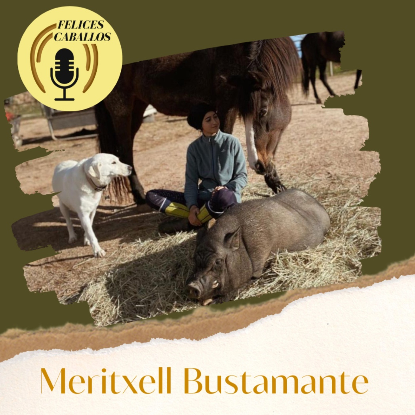 Felices Caballos