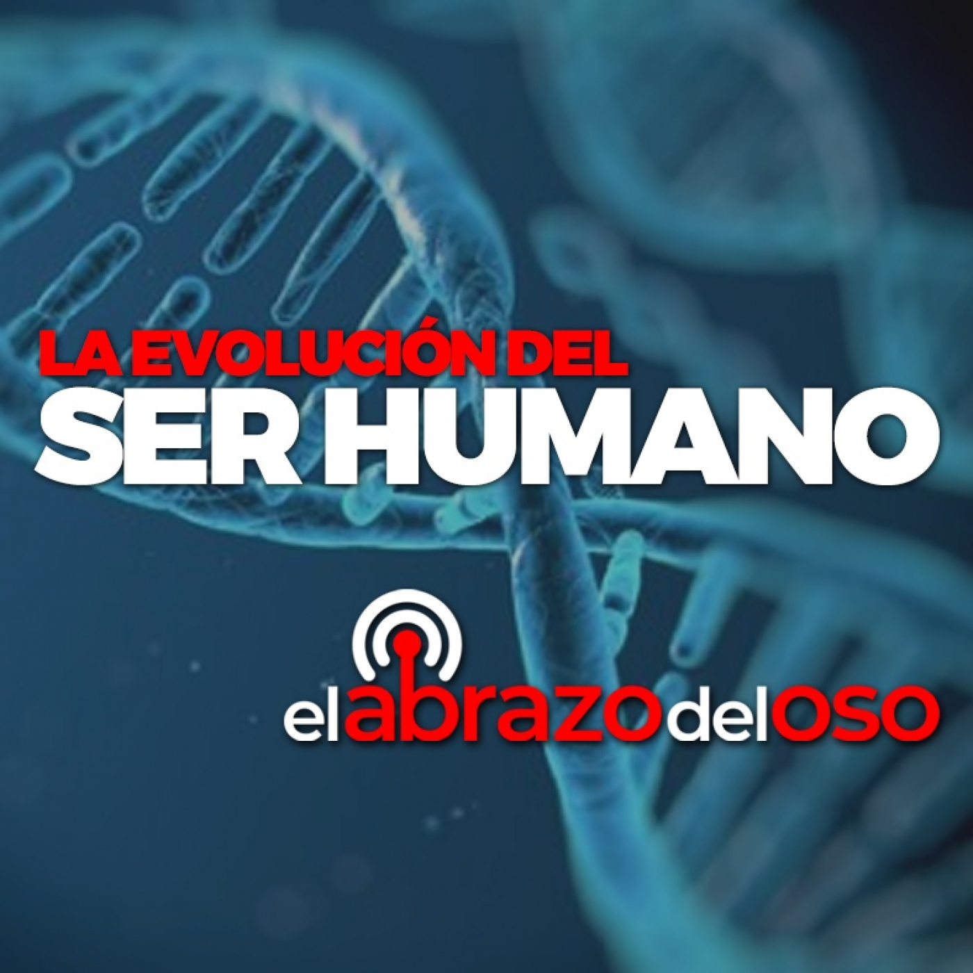 La evolución del Ser Humano - El Abrazo del Oso