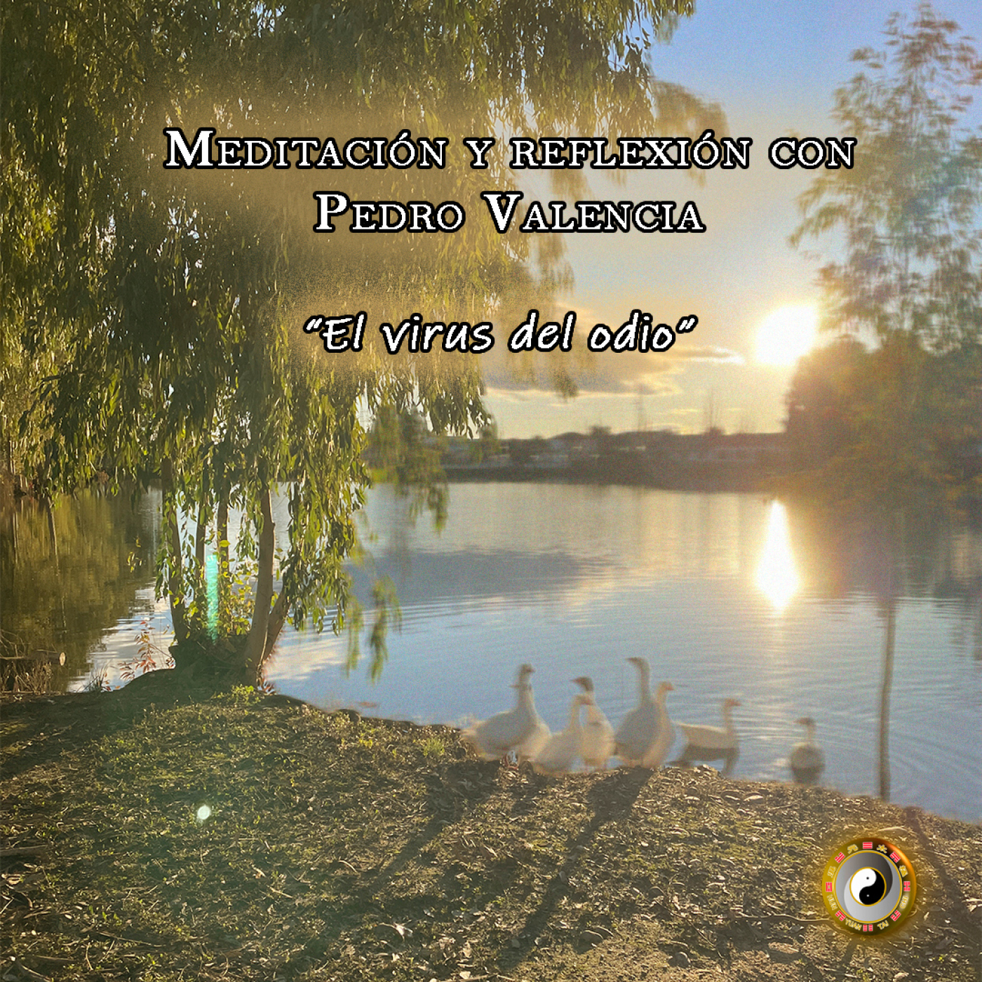 Meditación y Reflexión con Pedro Valencia