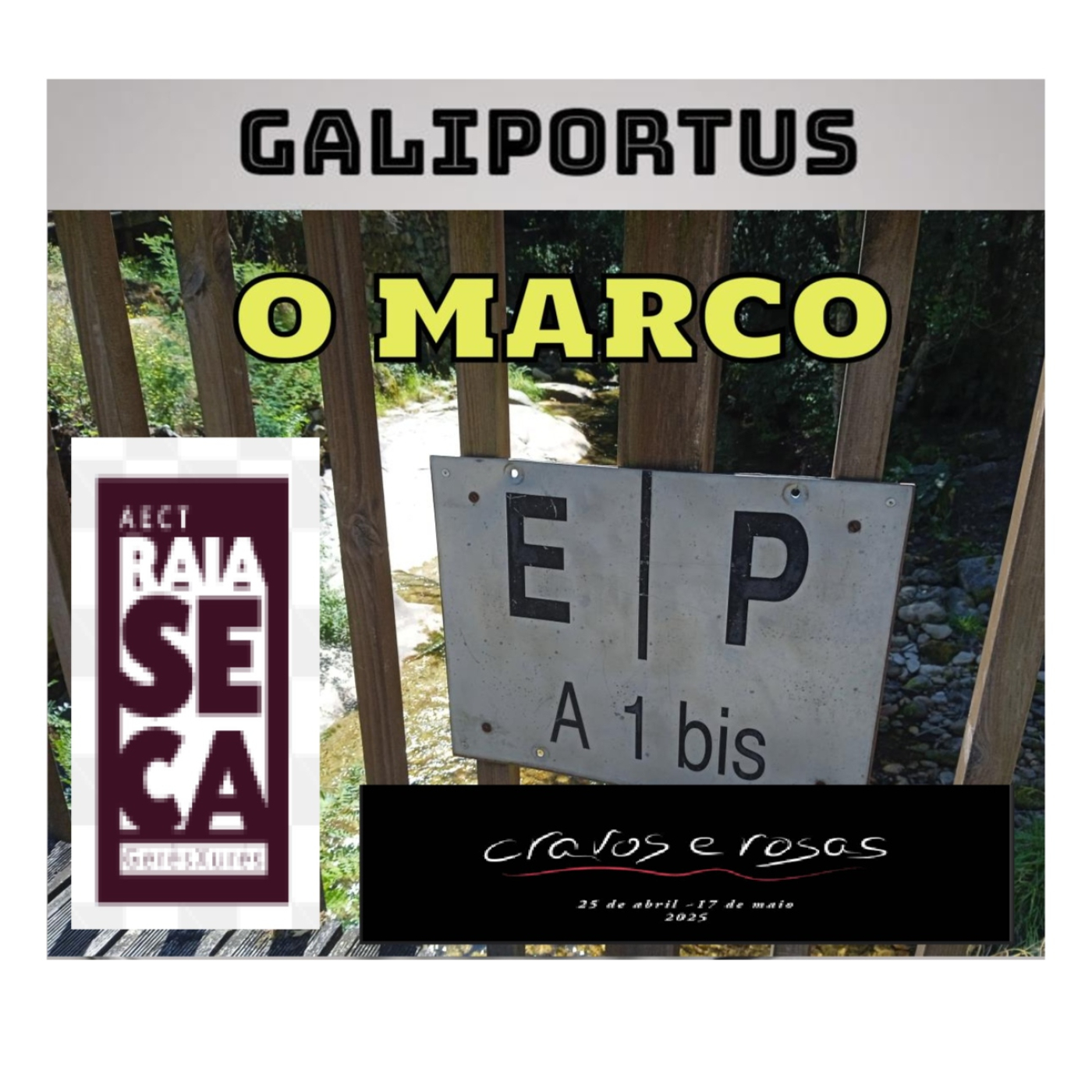 GALIPORTUS