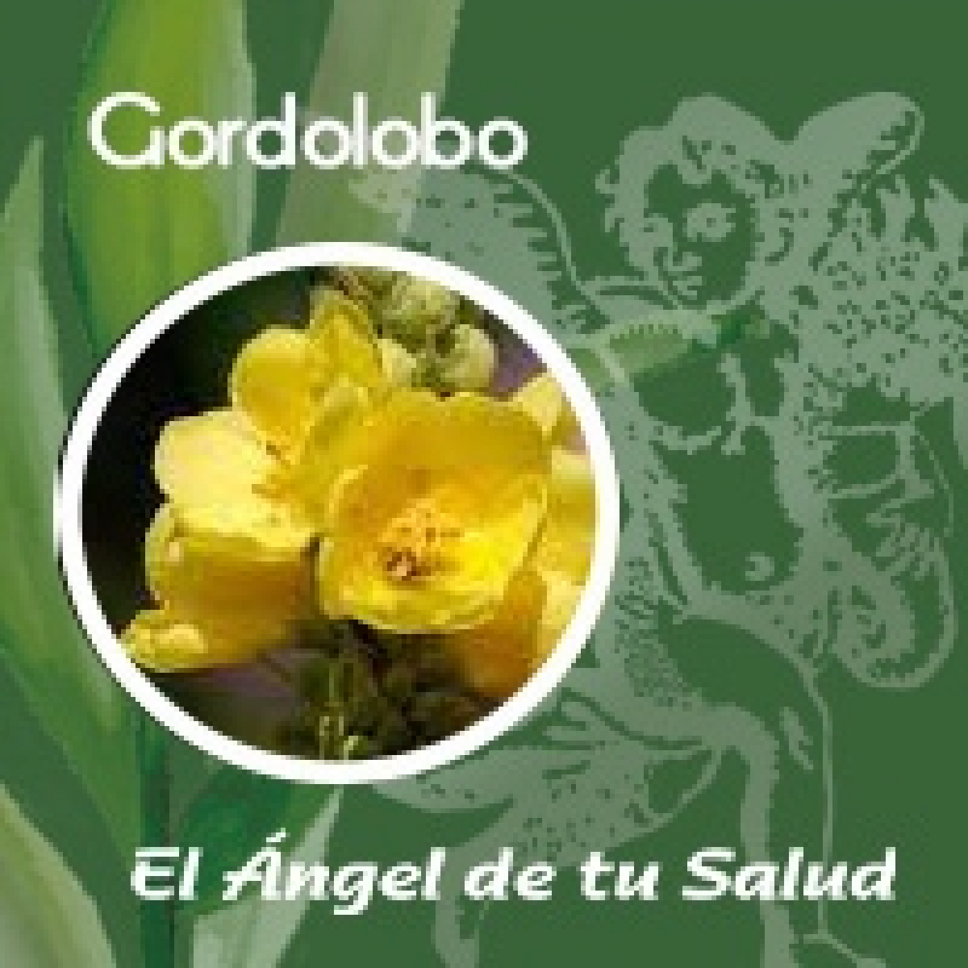 El Ángel de tu Salud - Gordolobo ** episode artwork