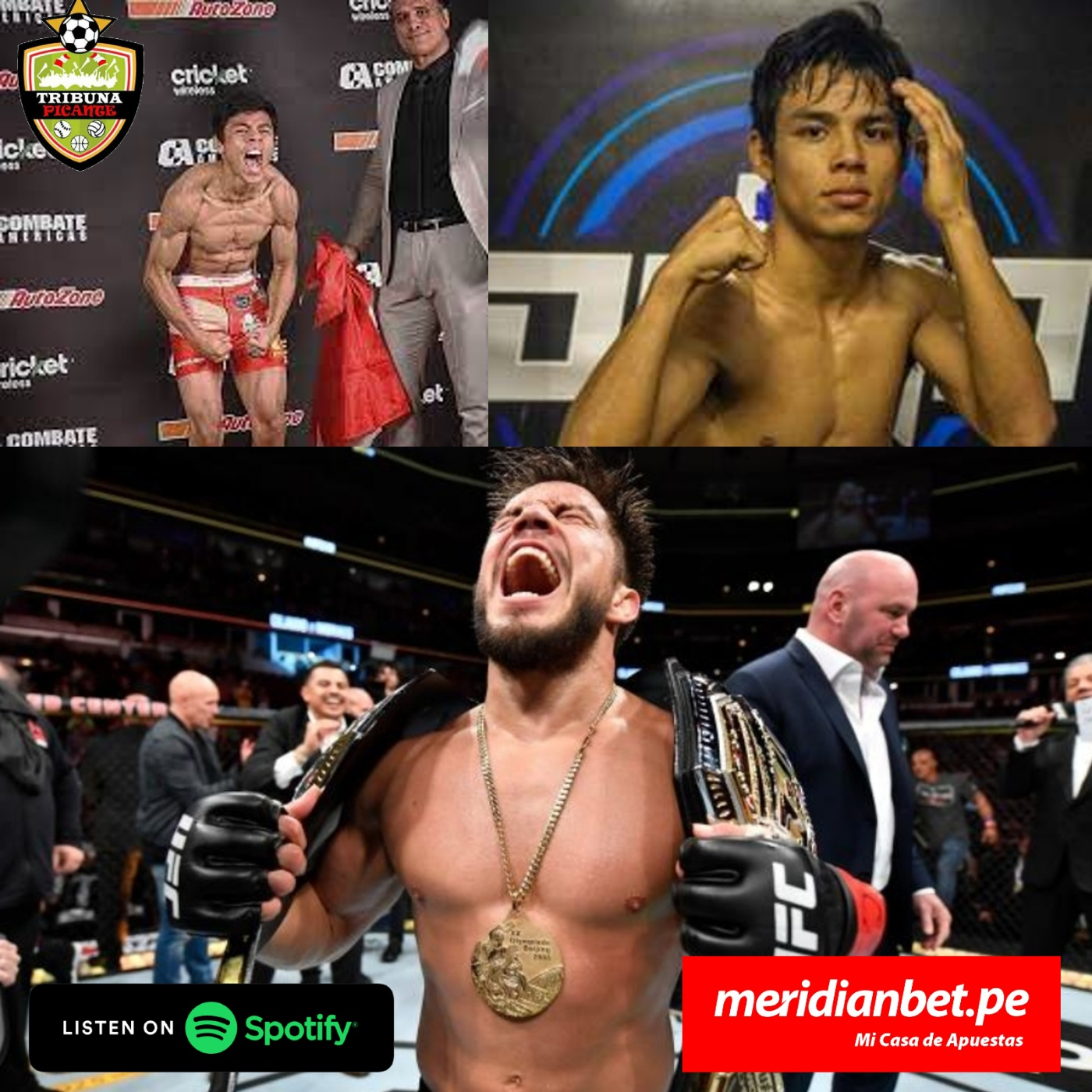 Podcast Picante - Conversando con José Carlos Ochoa y el problema de Henry Cejudo episode artwork