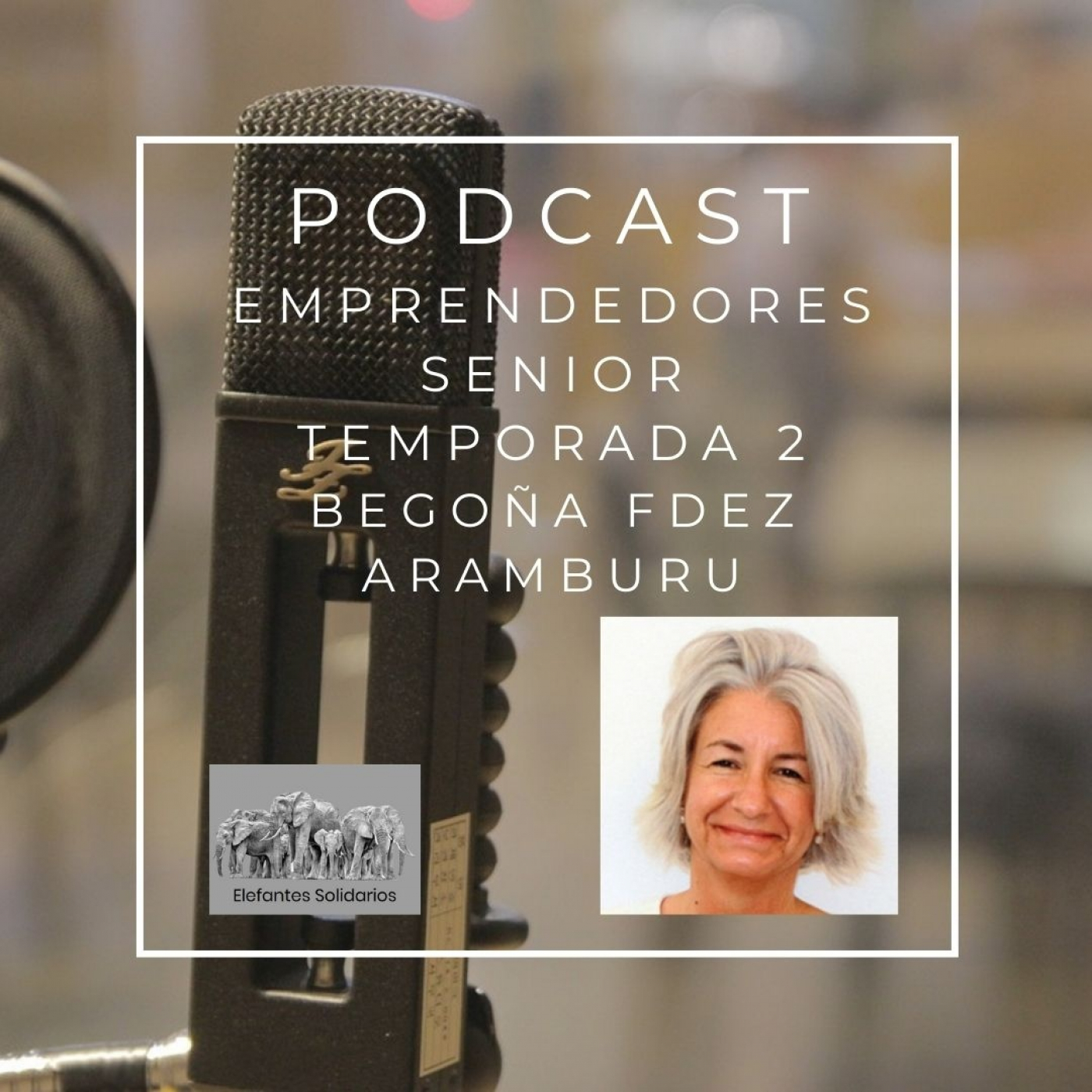 Emprendedores Senior
