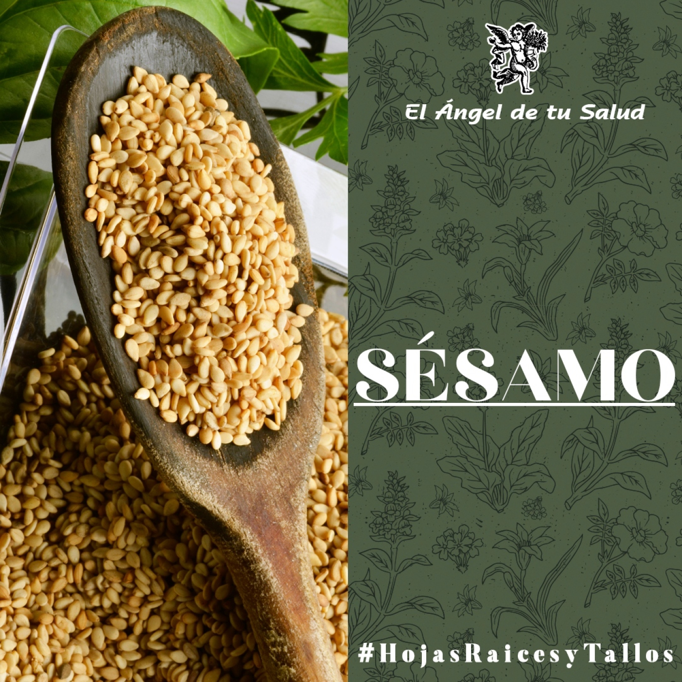 El Ángel de tu Salud - Sésamo** episode artwork