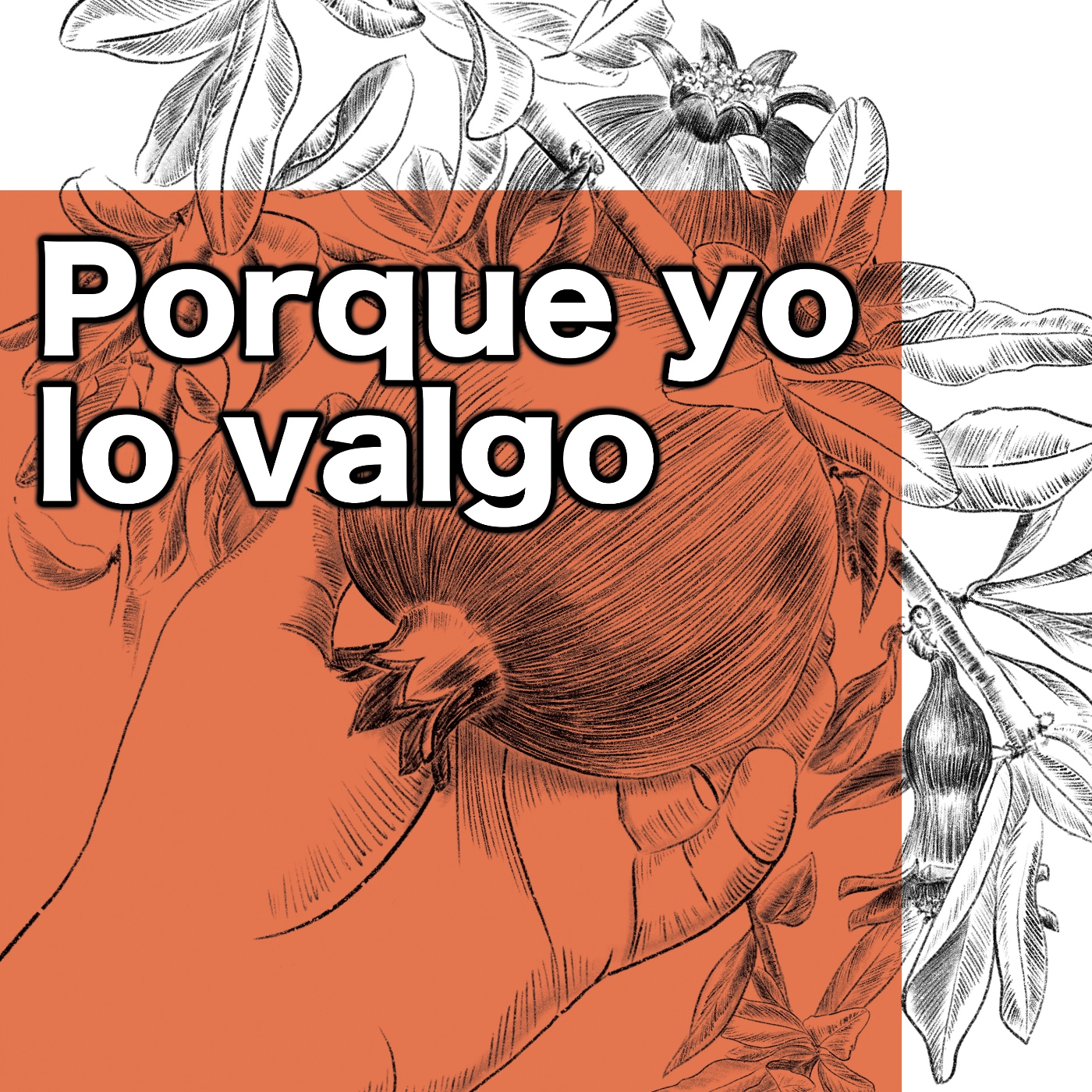 EL VALOR DE LA MONTAÑA: Cap 3. ¡Porque yo lo valgo!