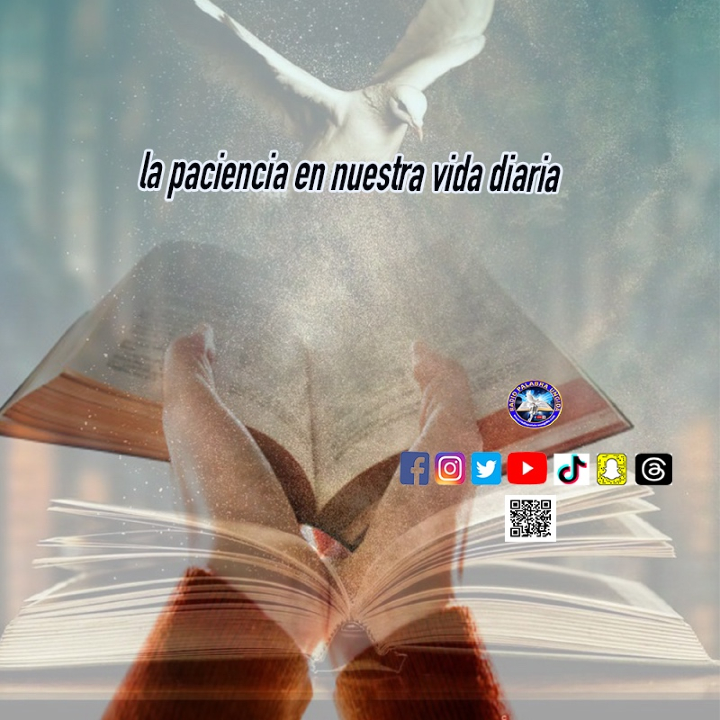 la paciencia en nuestra vida diaria /Edgar Calderon/Palabra Ungida episode artwork