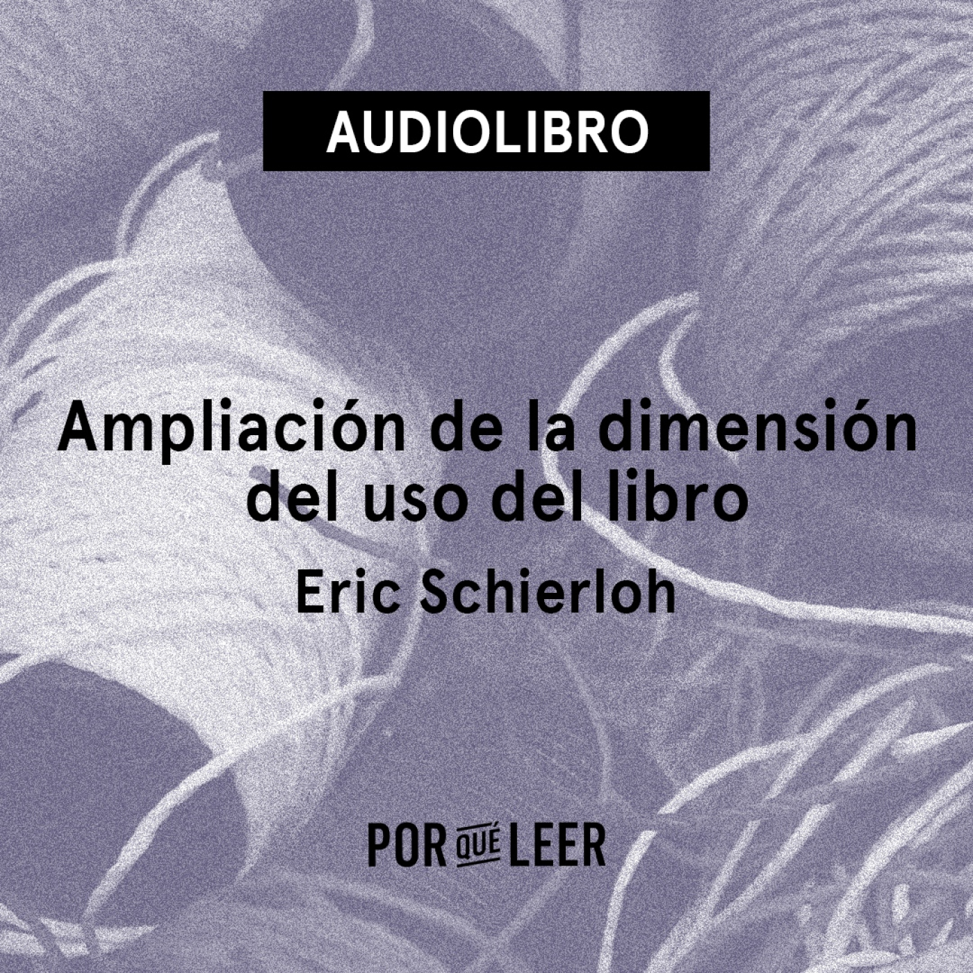 Ampliación de la dimensión del uso del libro - Eric Schierloh