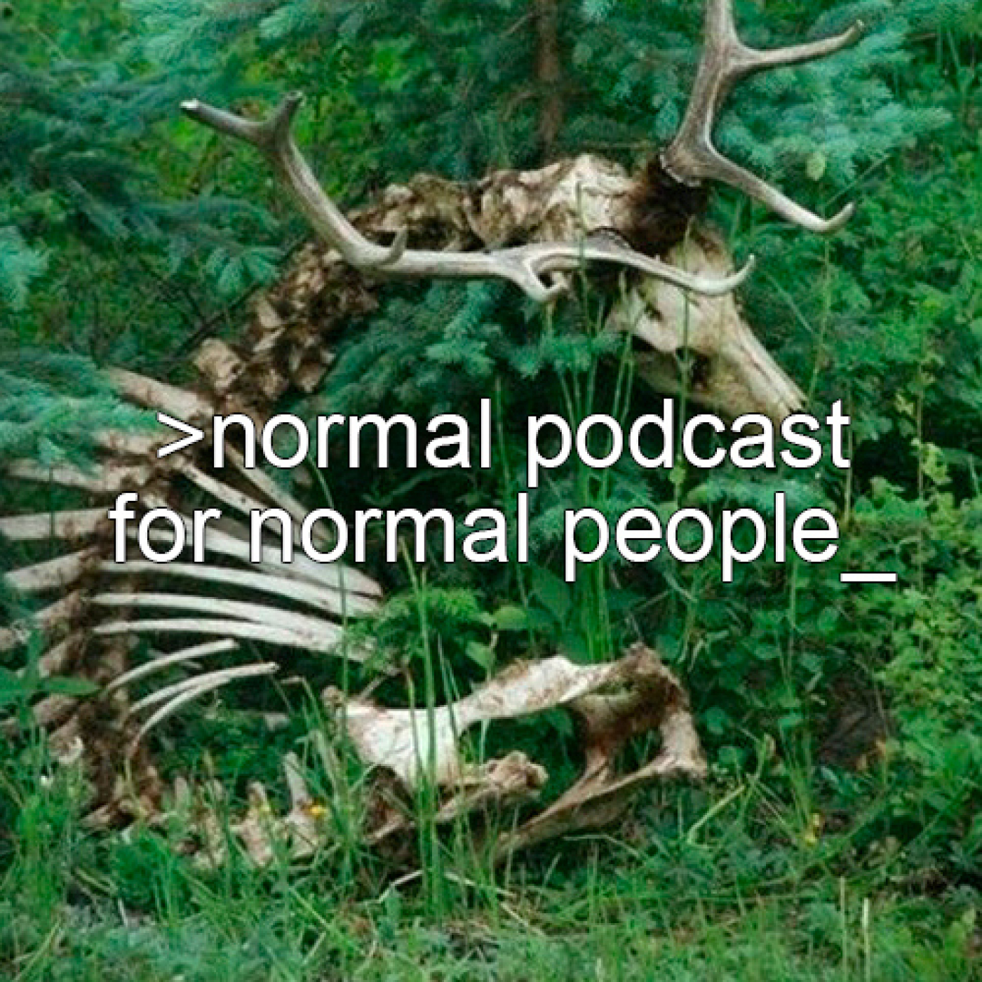 Normal Podcast for Normal People